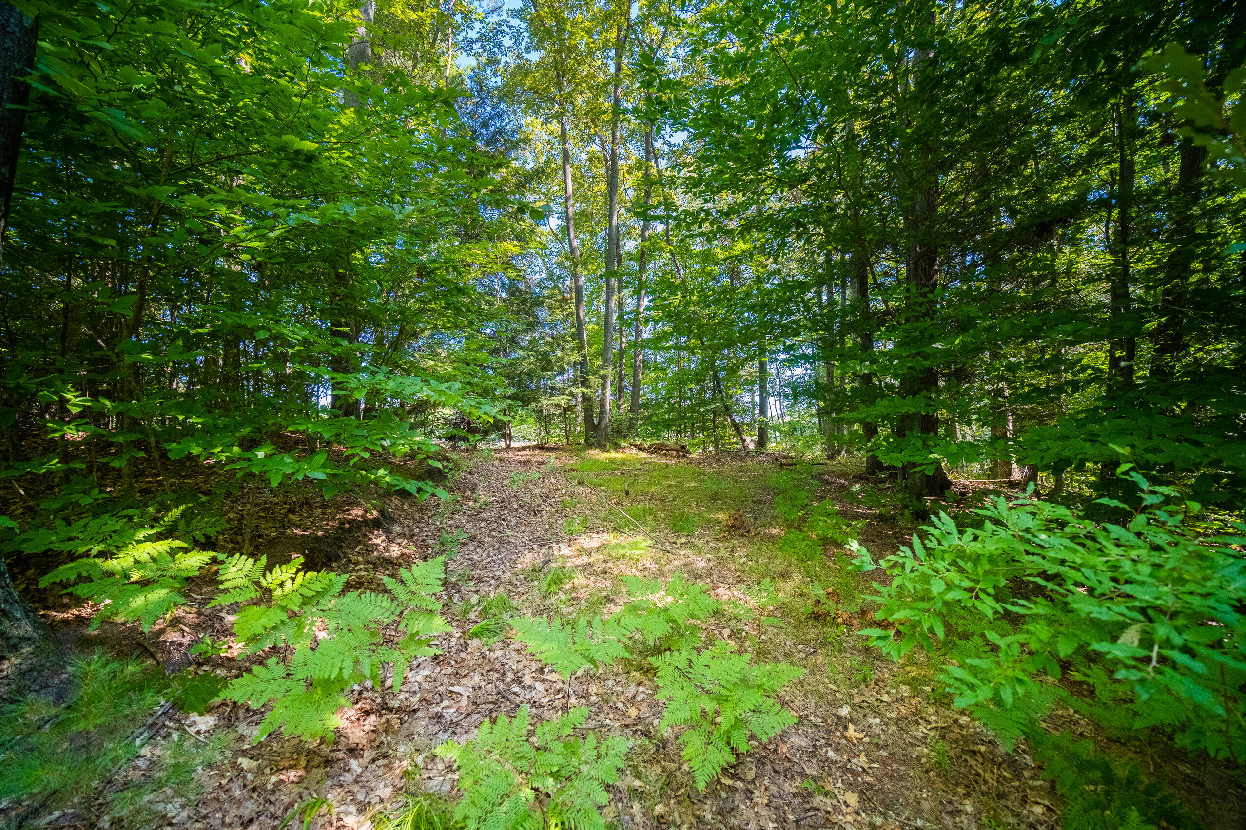 Emerald Ridge, 1