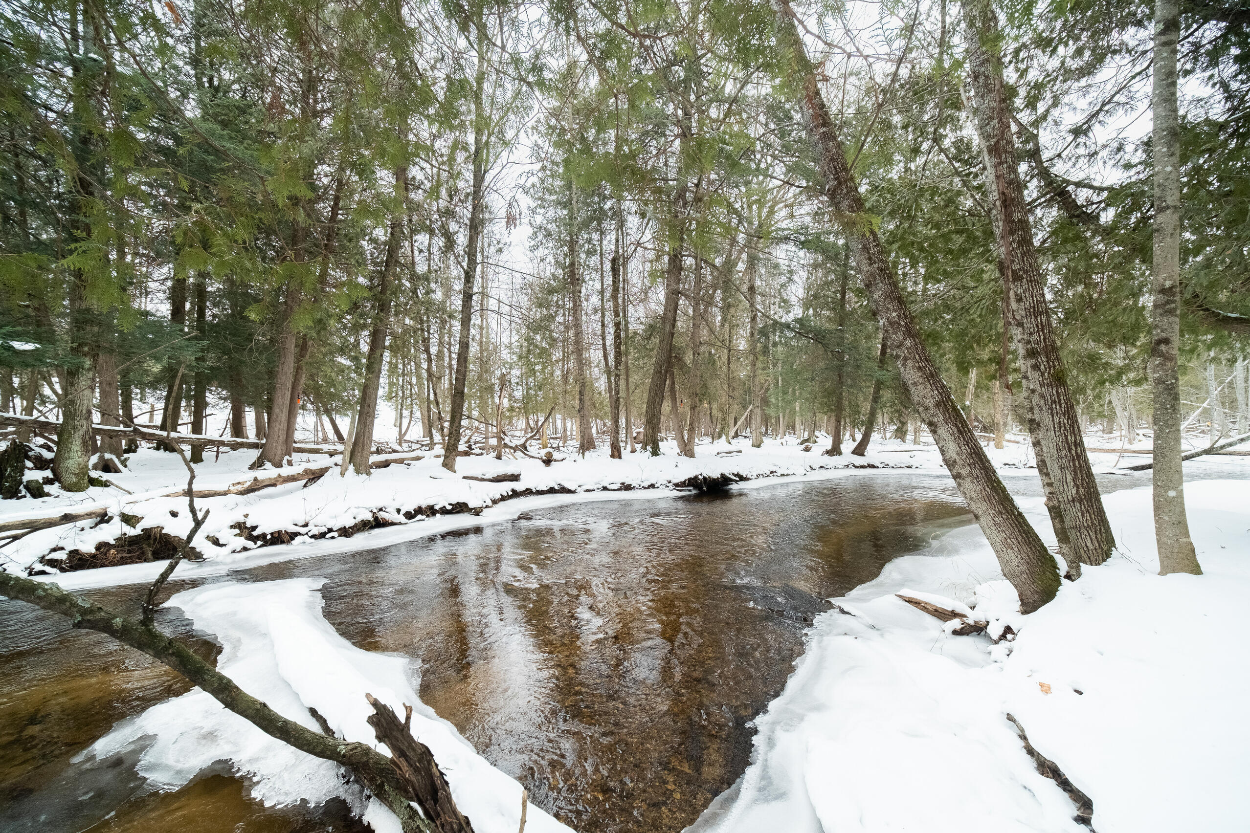13779 Wilderness Trail