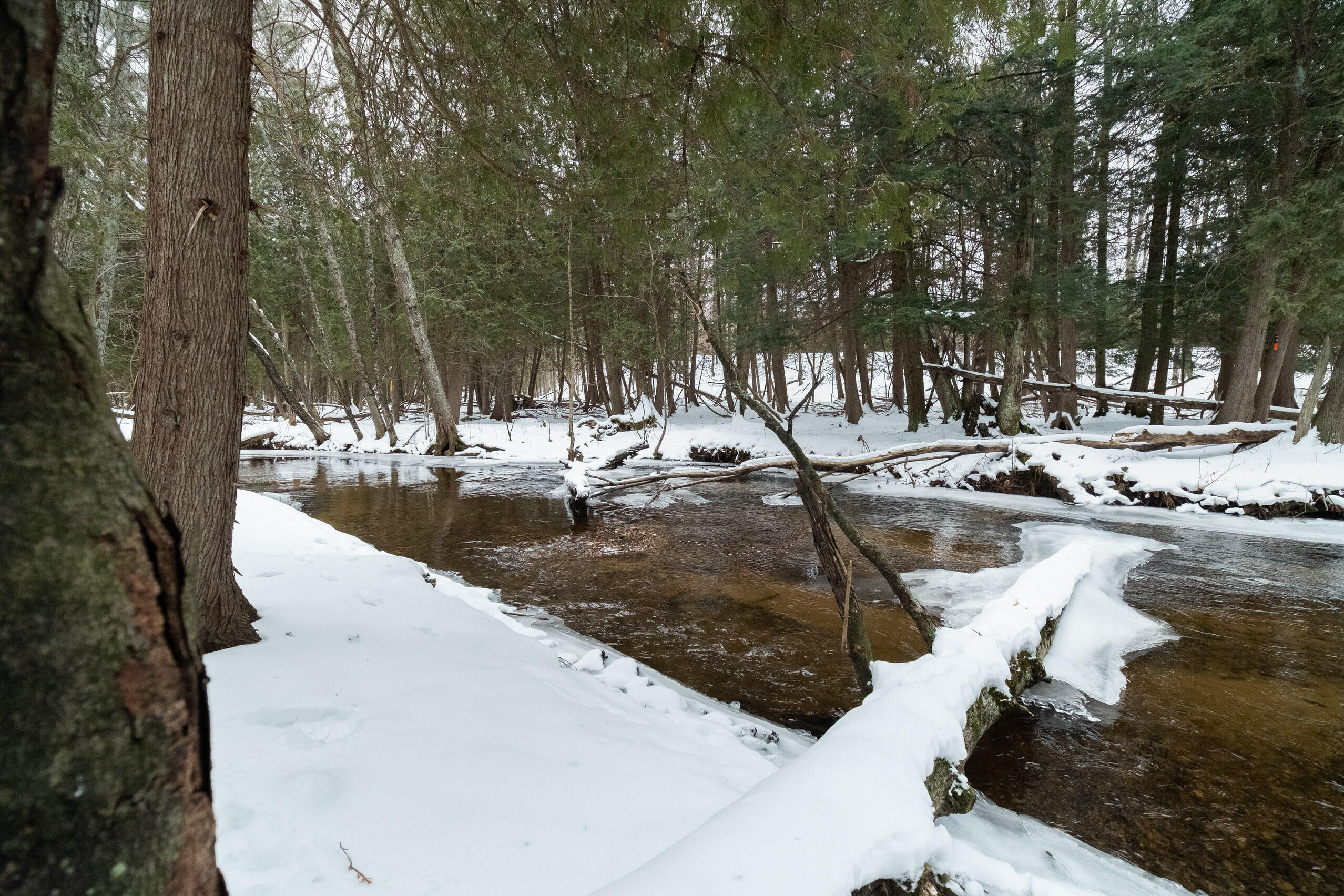 13779 Wilderness Trail