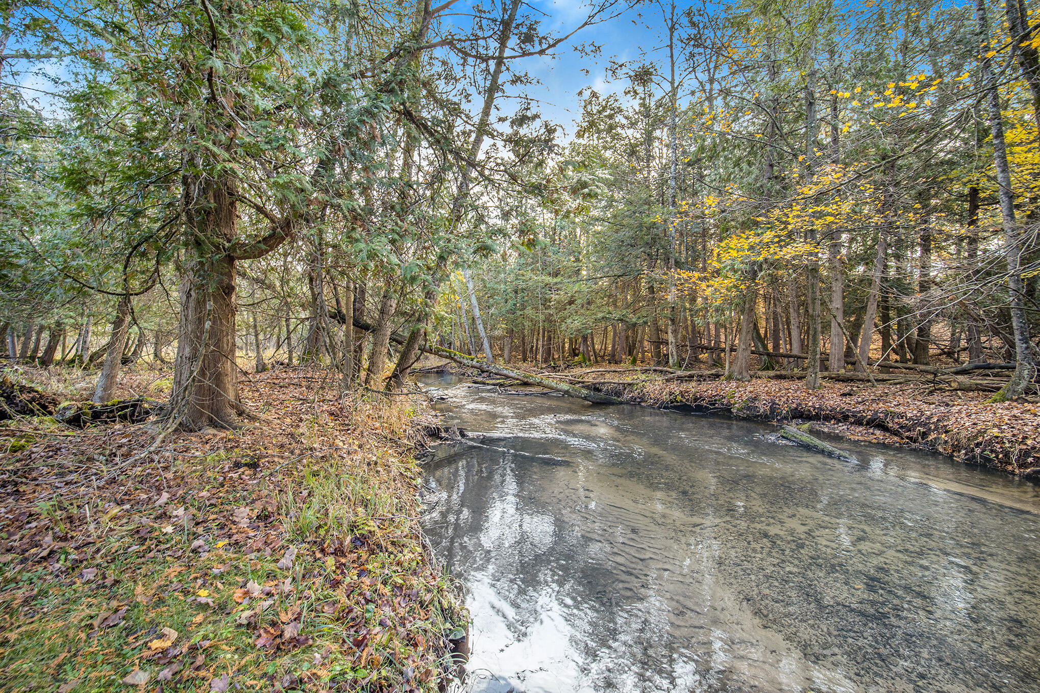 13779 Wilderness Trail