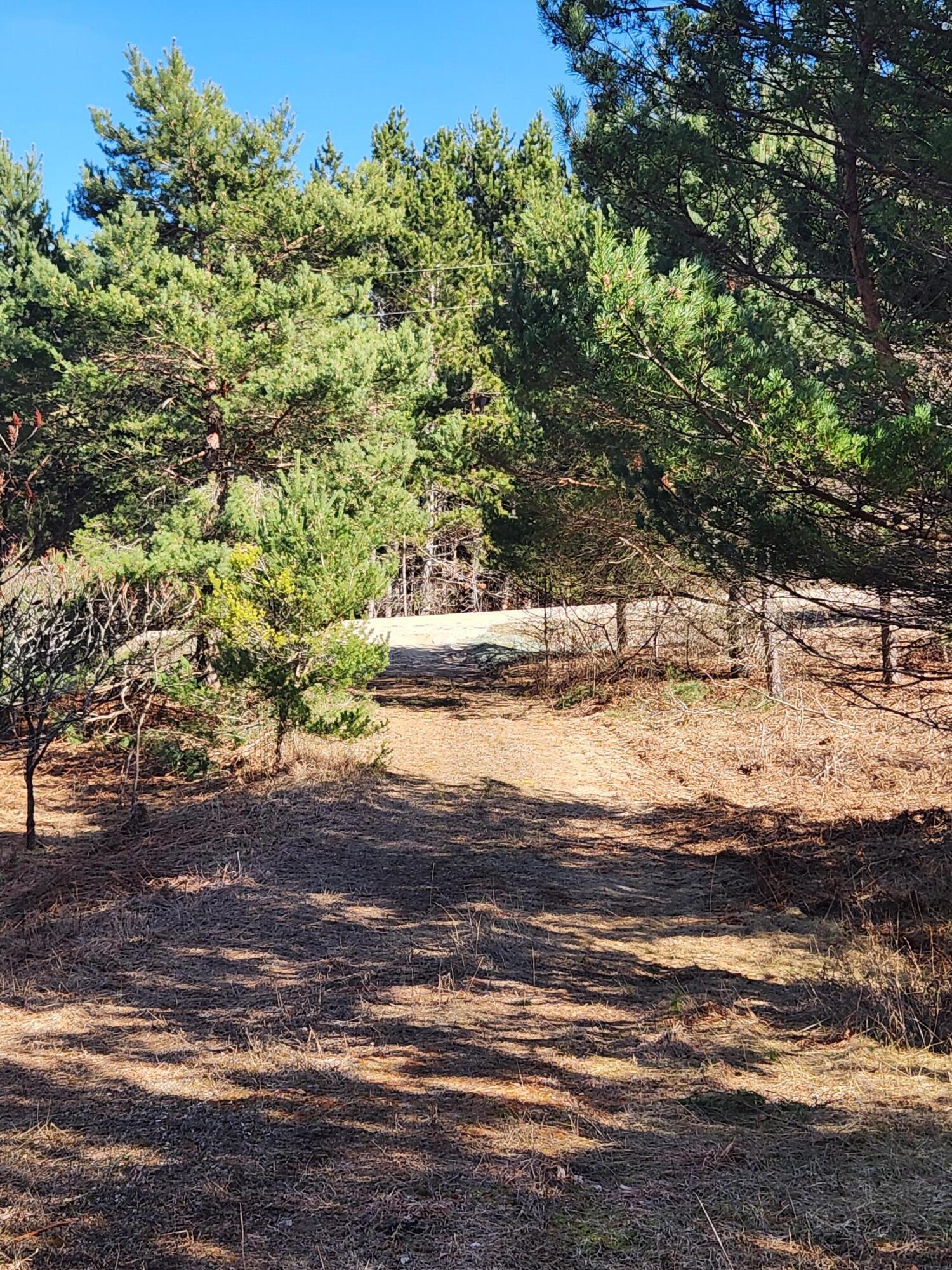 3831 N 45 1/2 Road