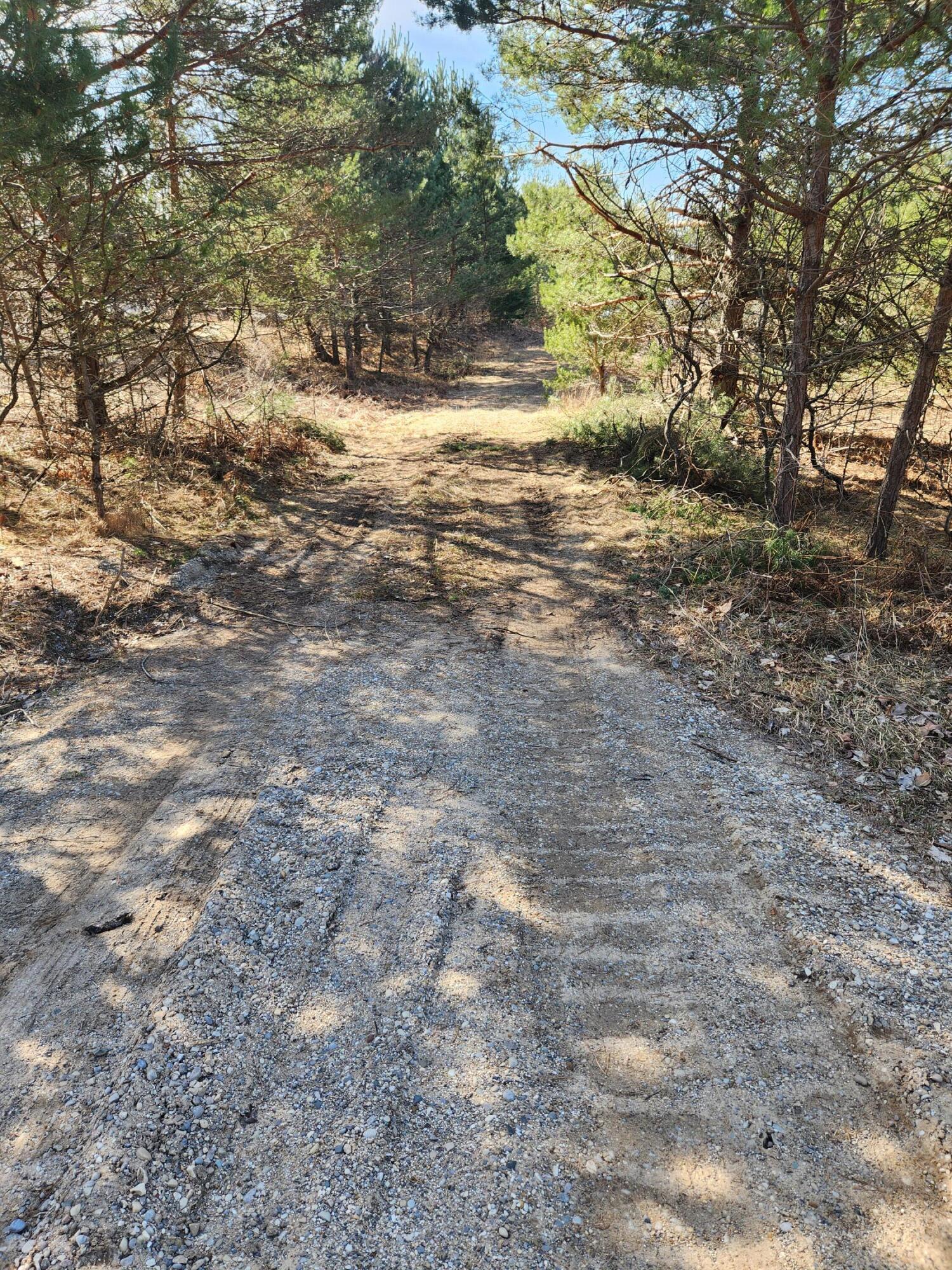 3831 N 45 1/2 Road