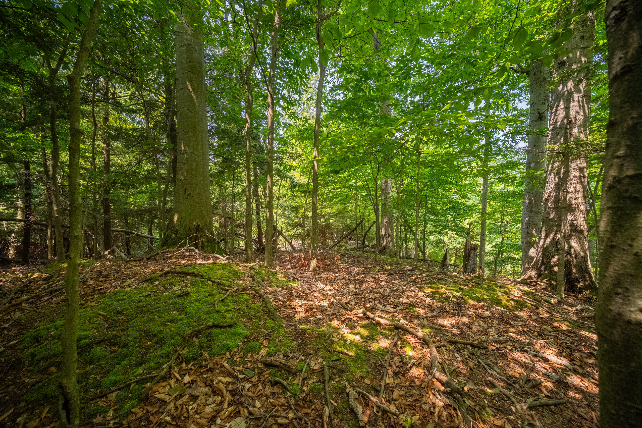 26 & 27 Beech Knolls Trail