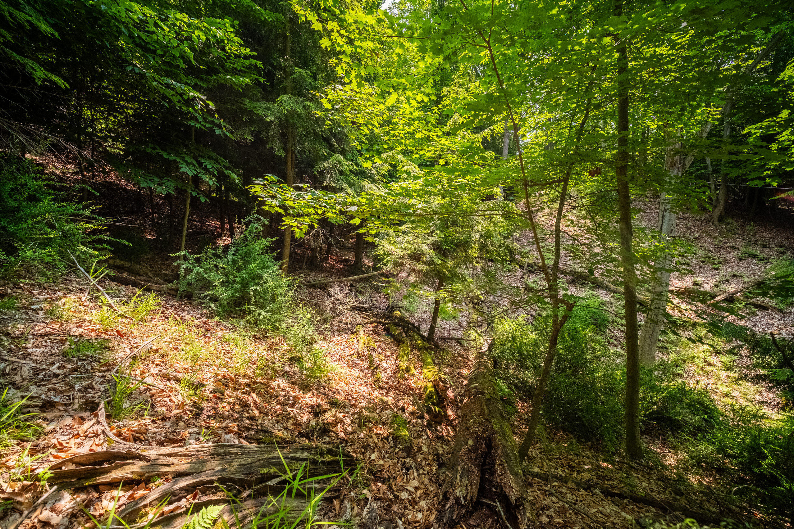 26 & 27 Beech Knolls Trail