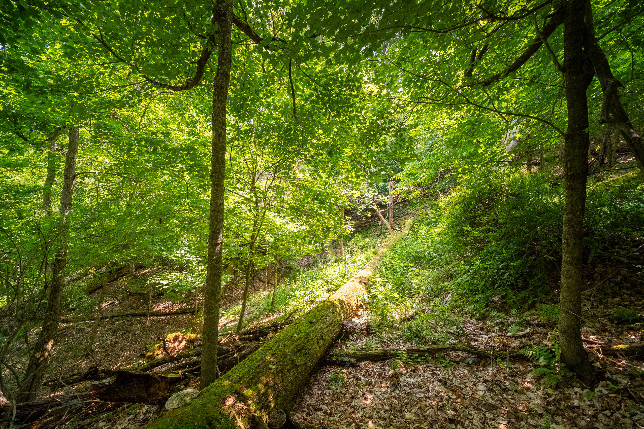26 & 27 Beech Knolls Trail