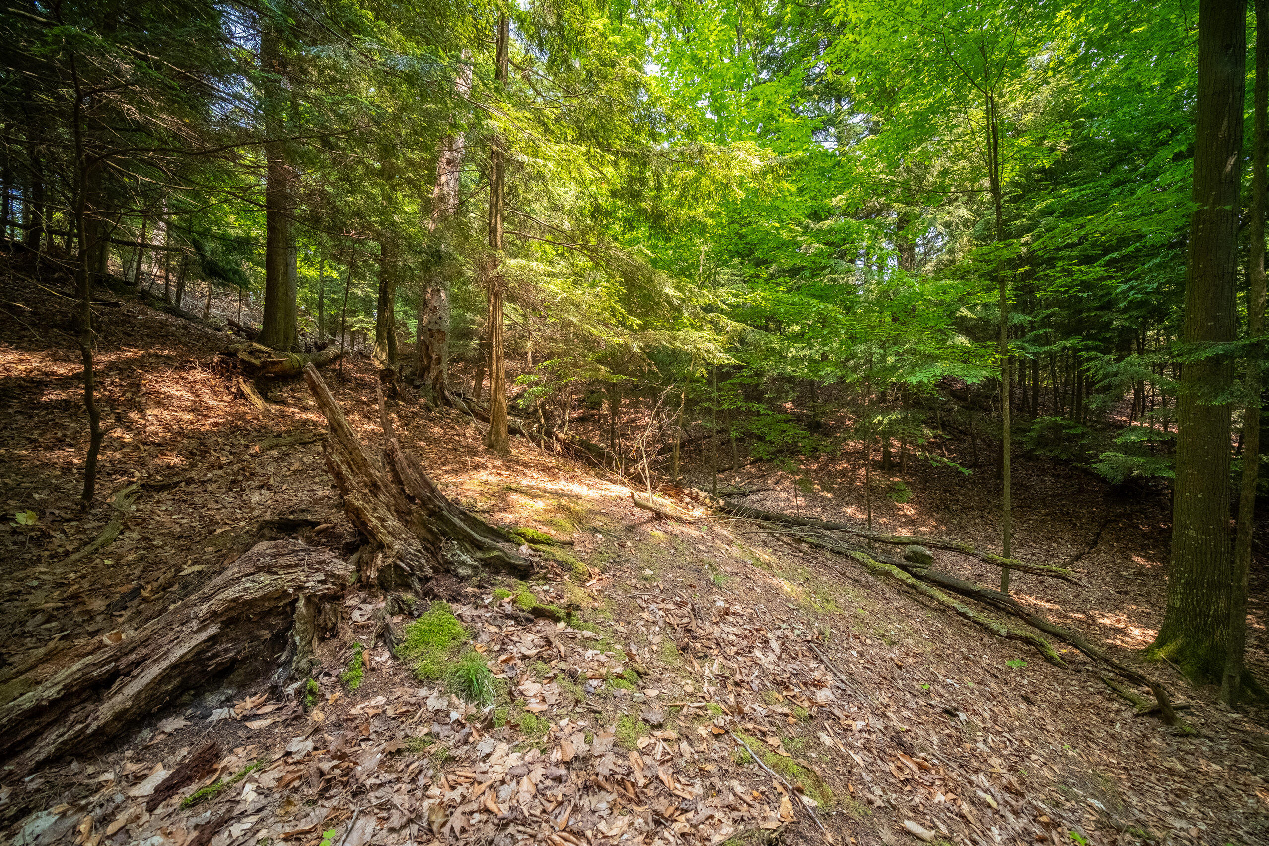 26 & 27 Beech Knolls Trail