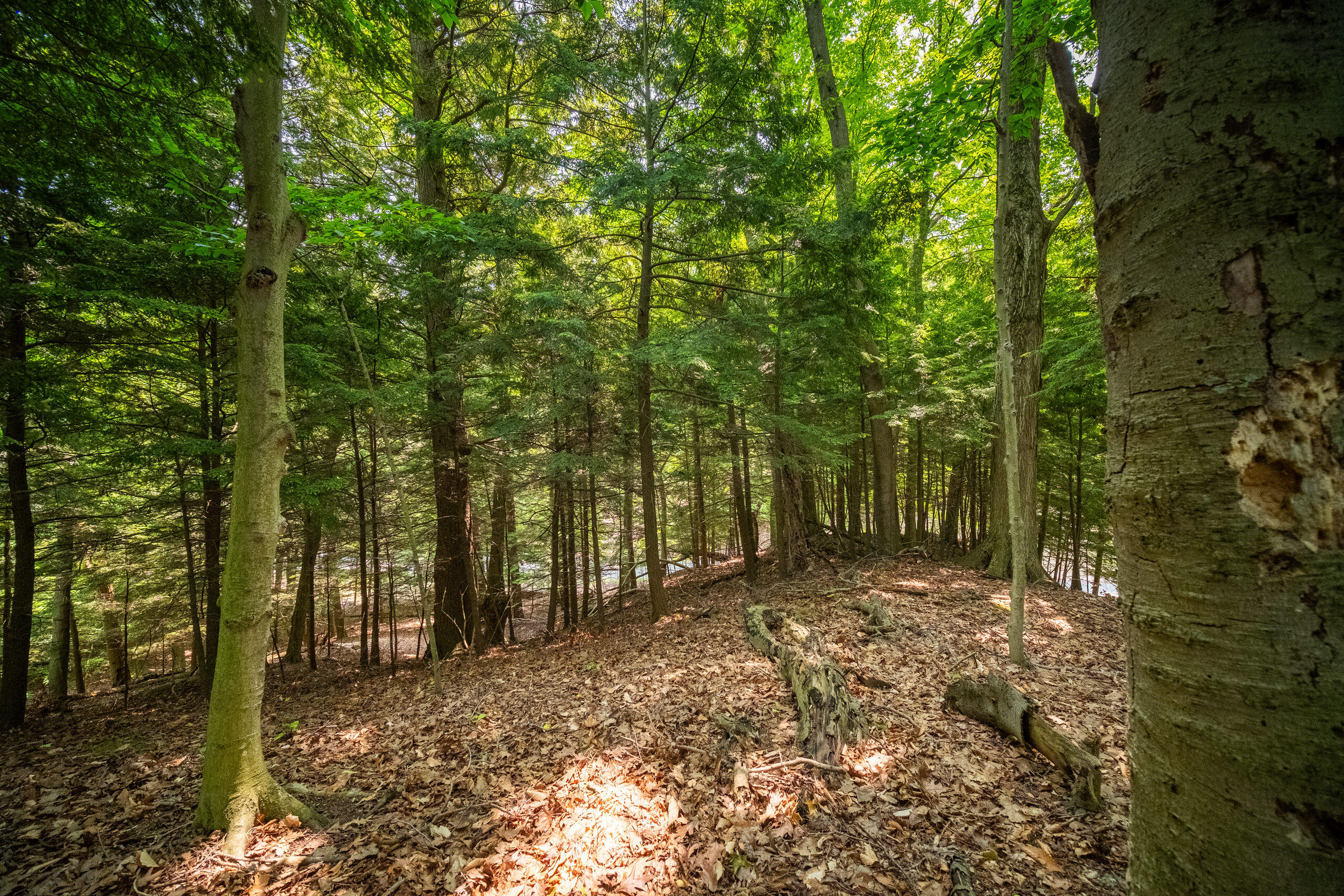 26 & 27 Beech Knolls Trail