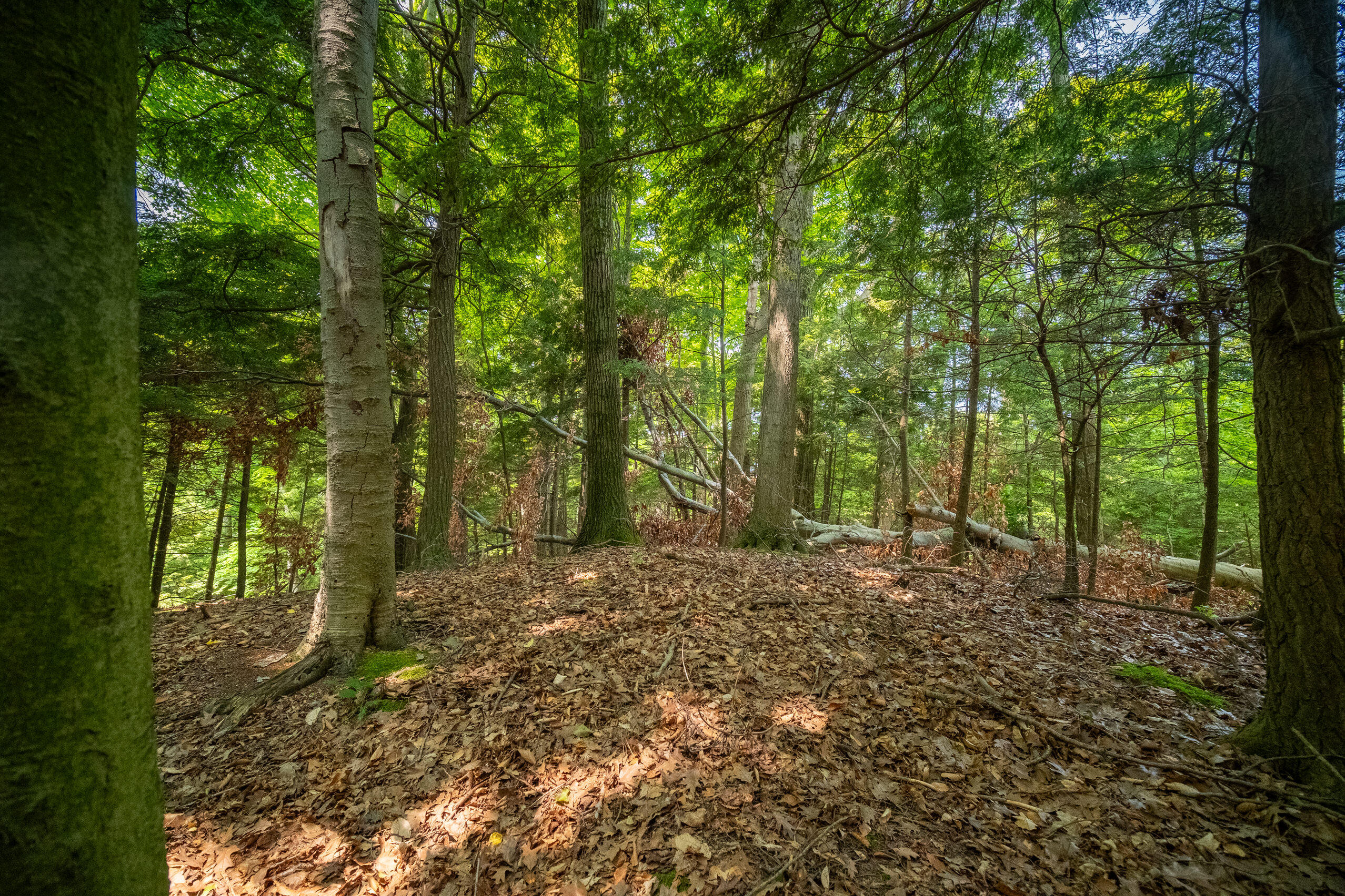 26 & 27 Beech Knolls Trail