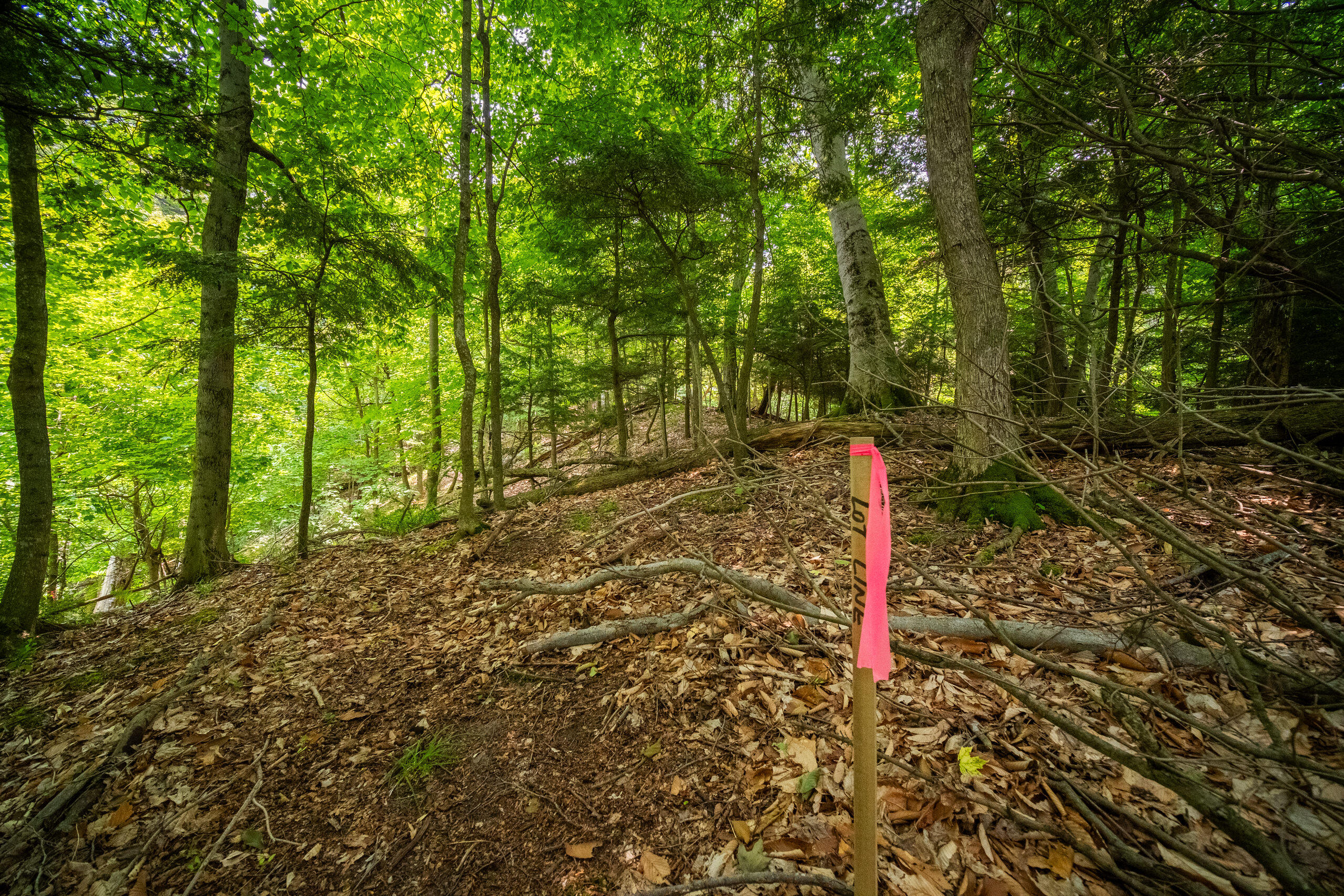 26 & 27 Beech Knolls Trail