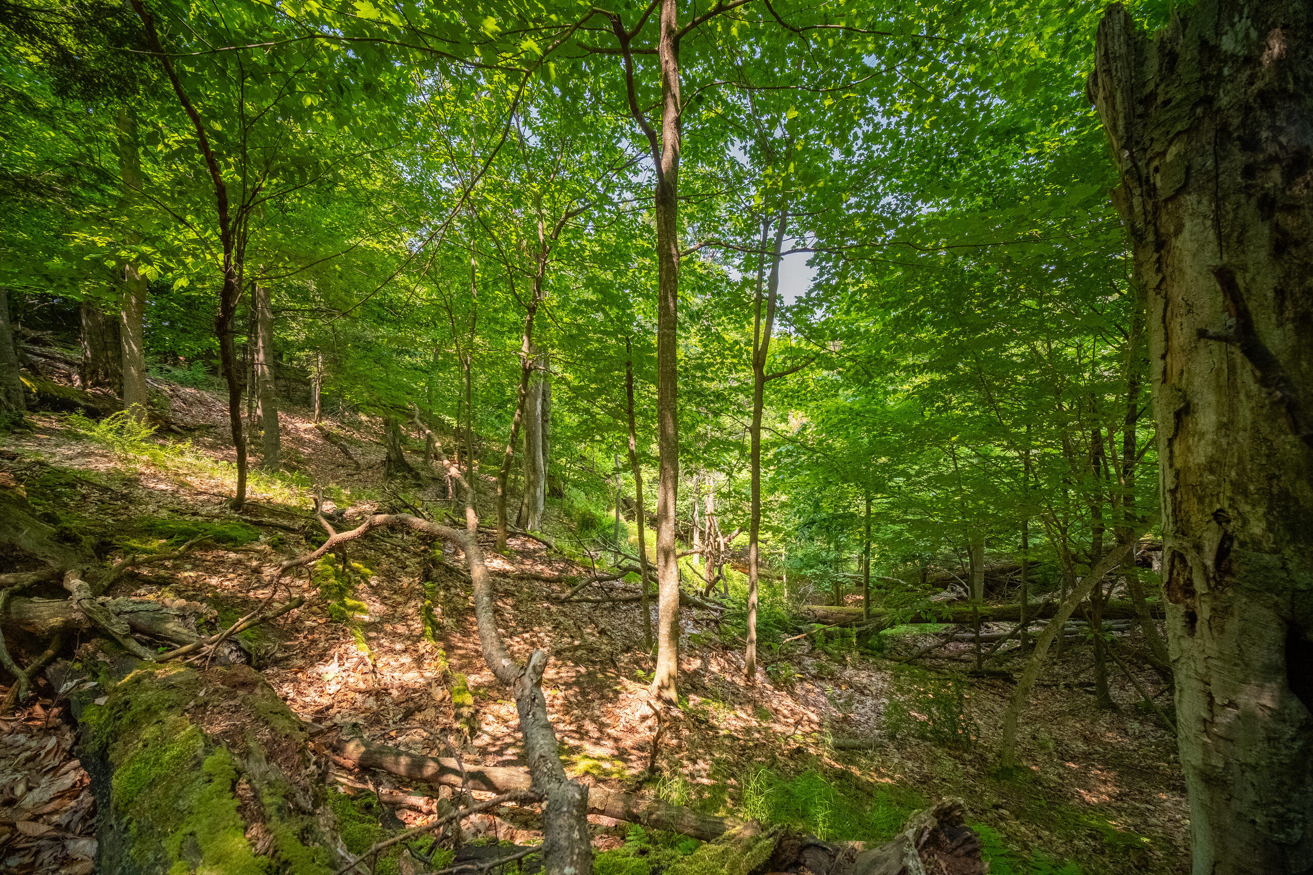 26 & 27 Beech Knolls Trail