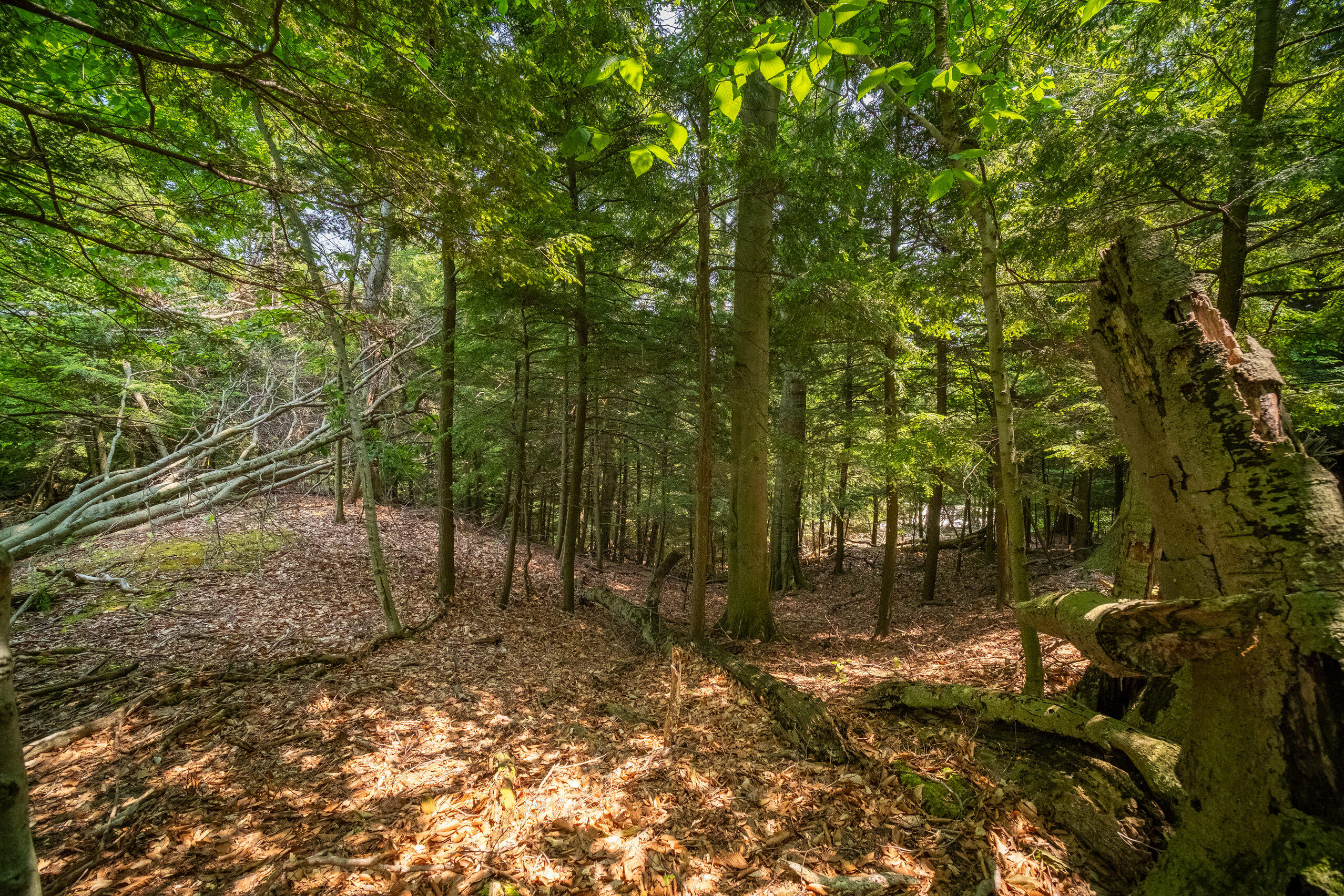 26 & 27 Beech Knolls Trail