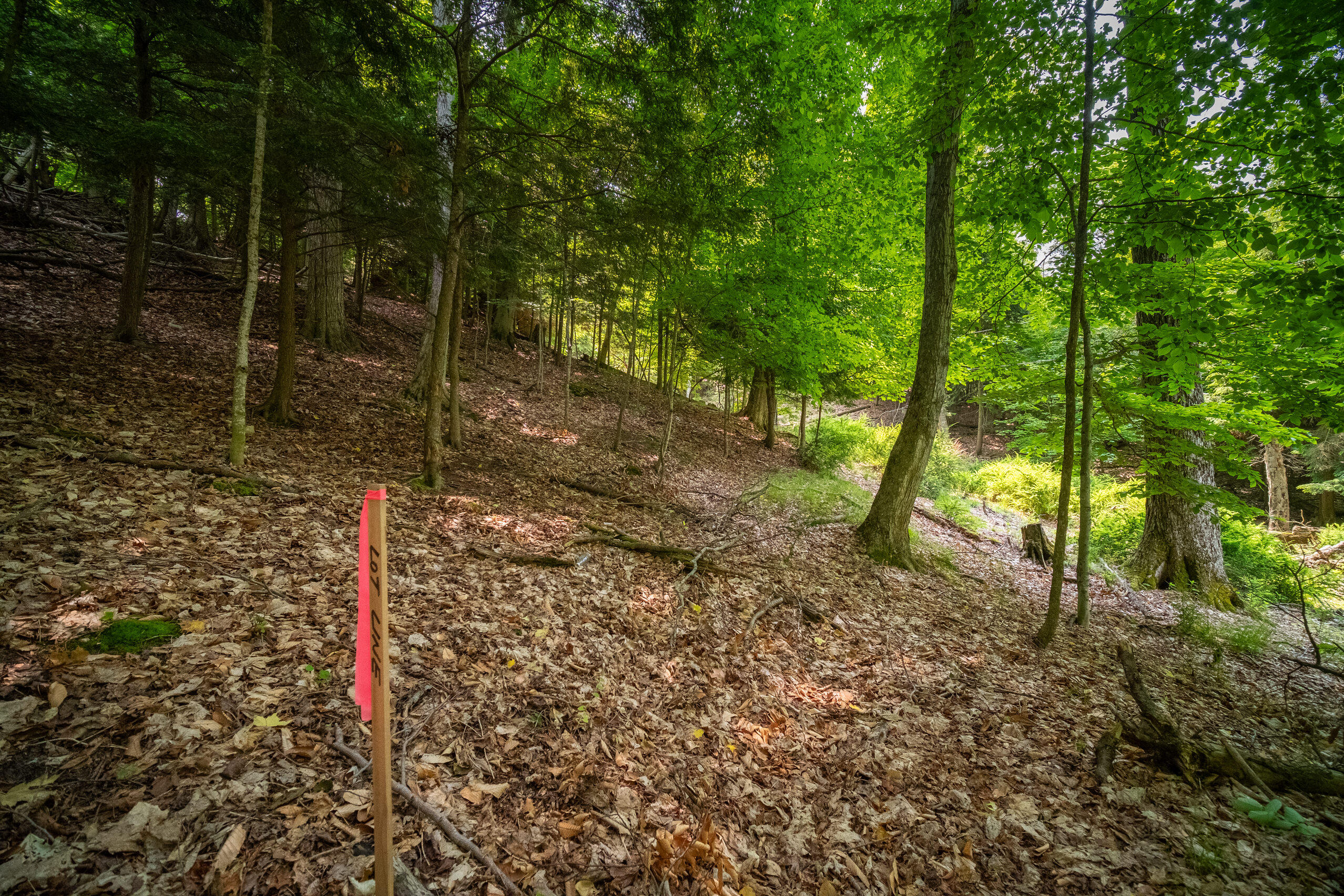 26 & 27 Beech Knolls Trail