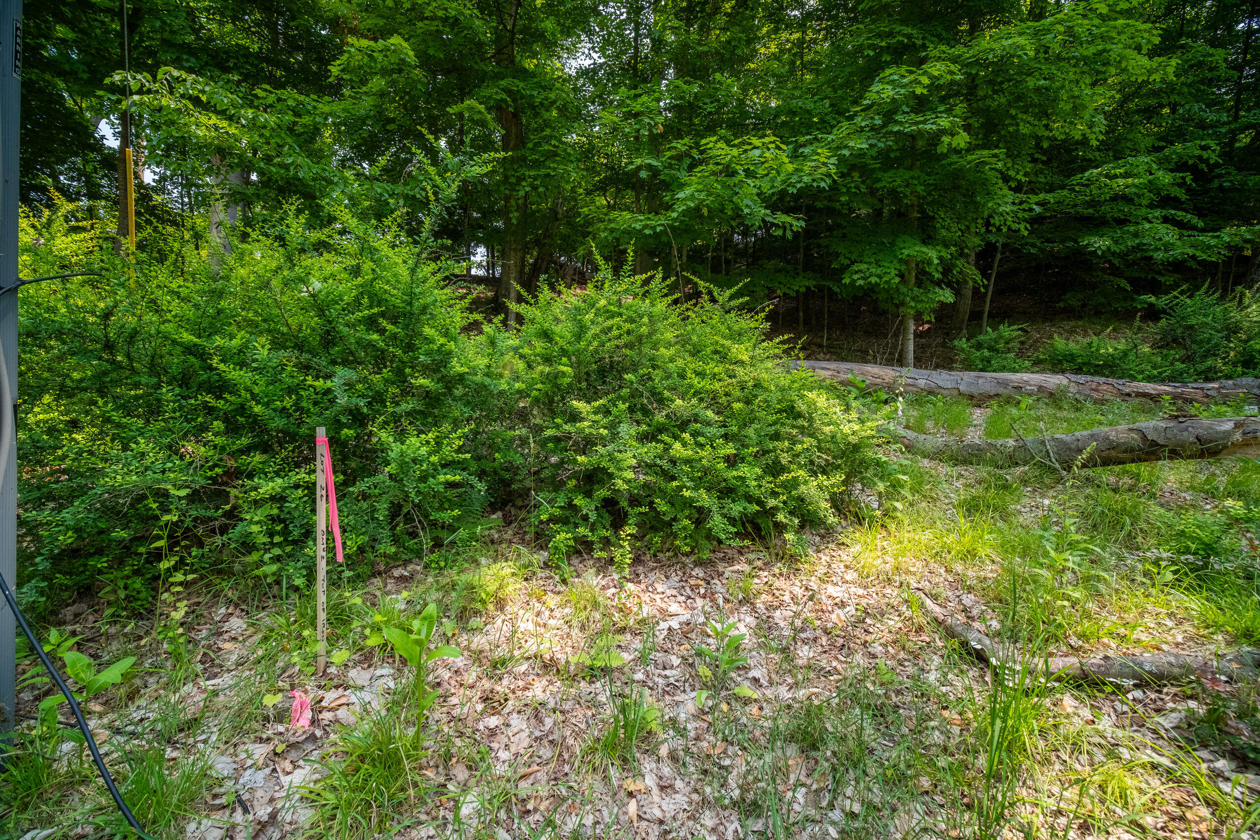 26 & 27 Beech Knolls Trail