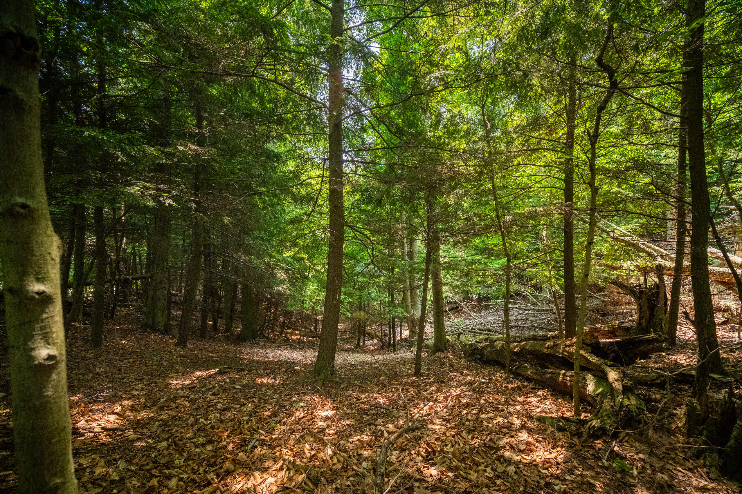 26 & 27 Beech Knolls Trail