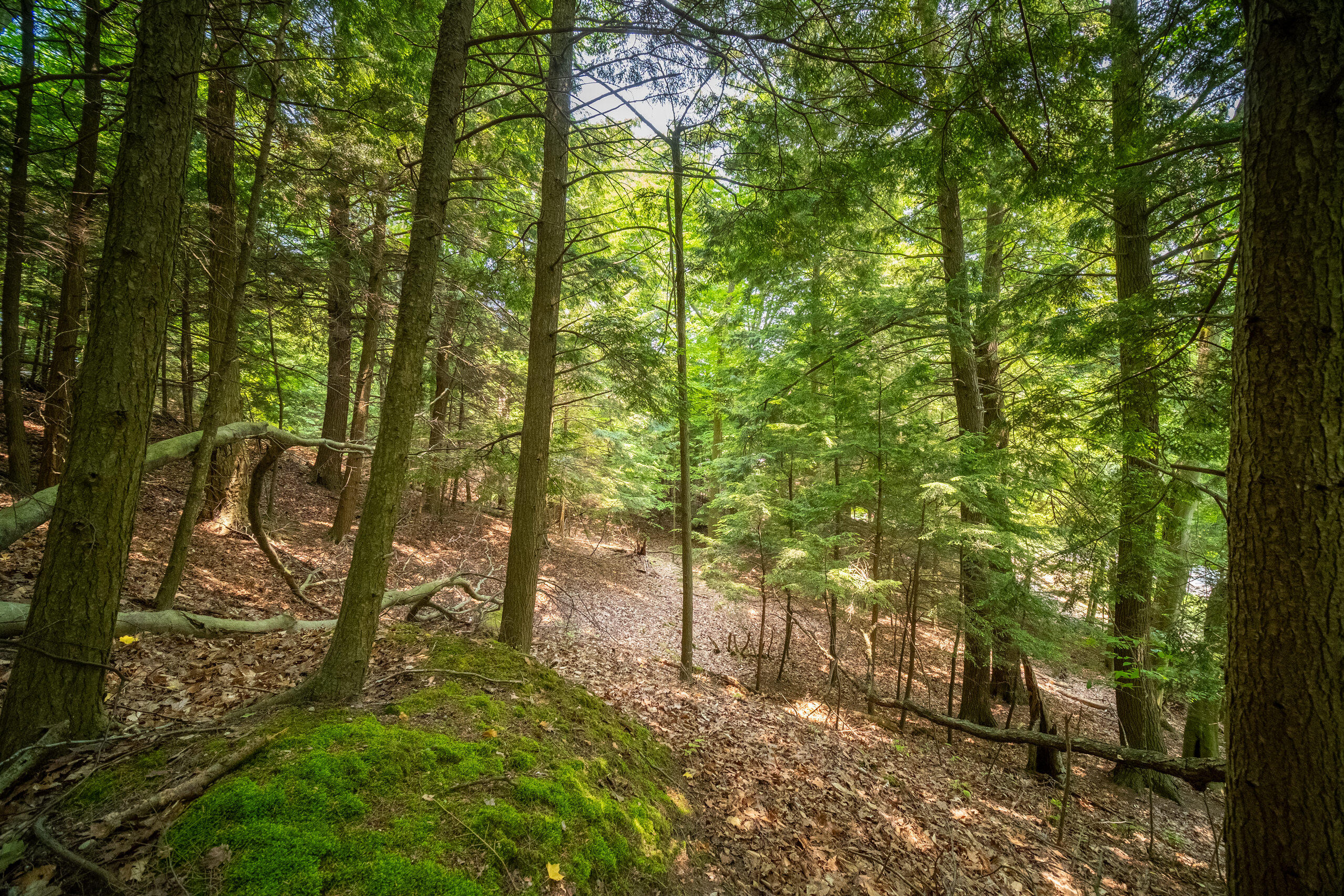 26 & 27 Beech Knolls Trail