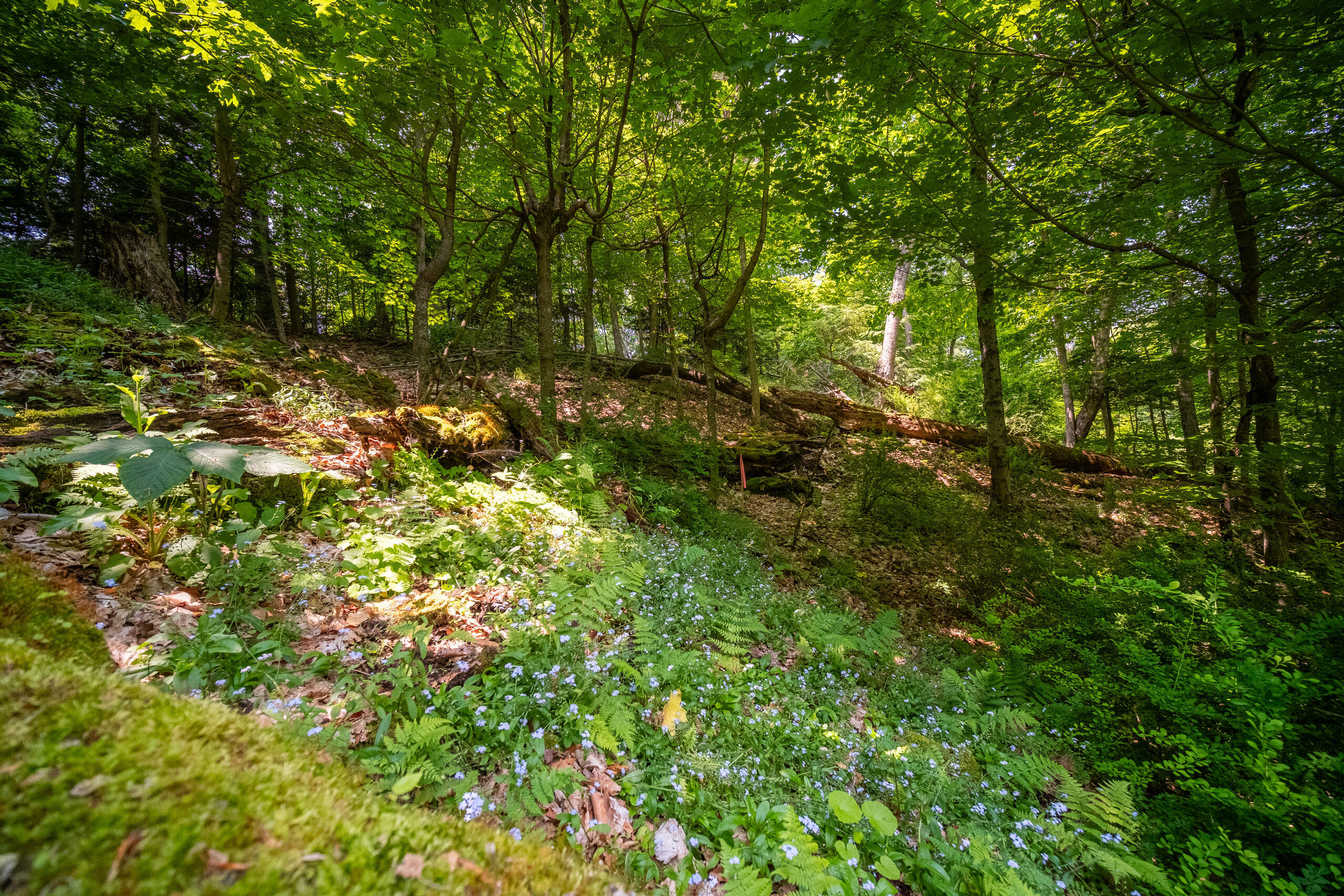 26 & 27 Beech Knolls Trail