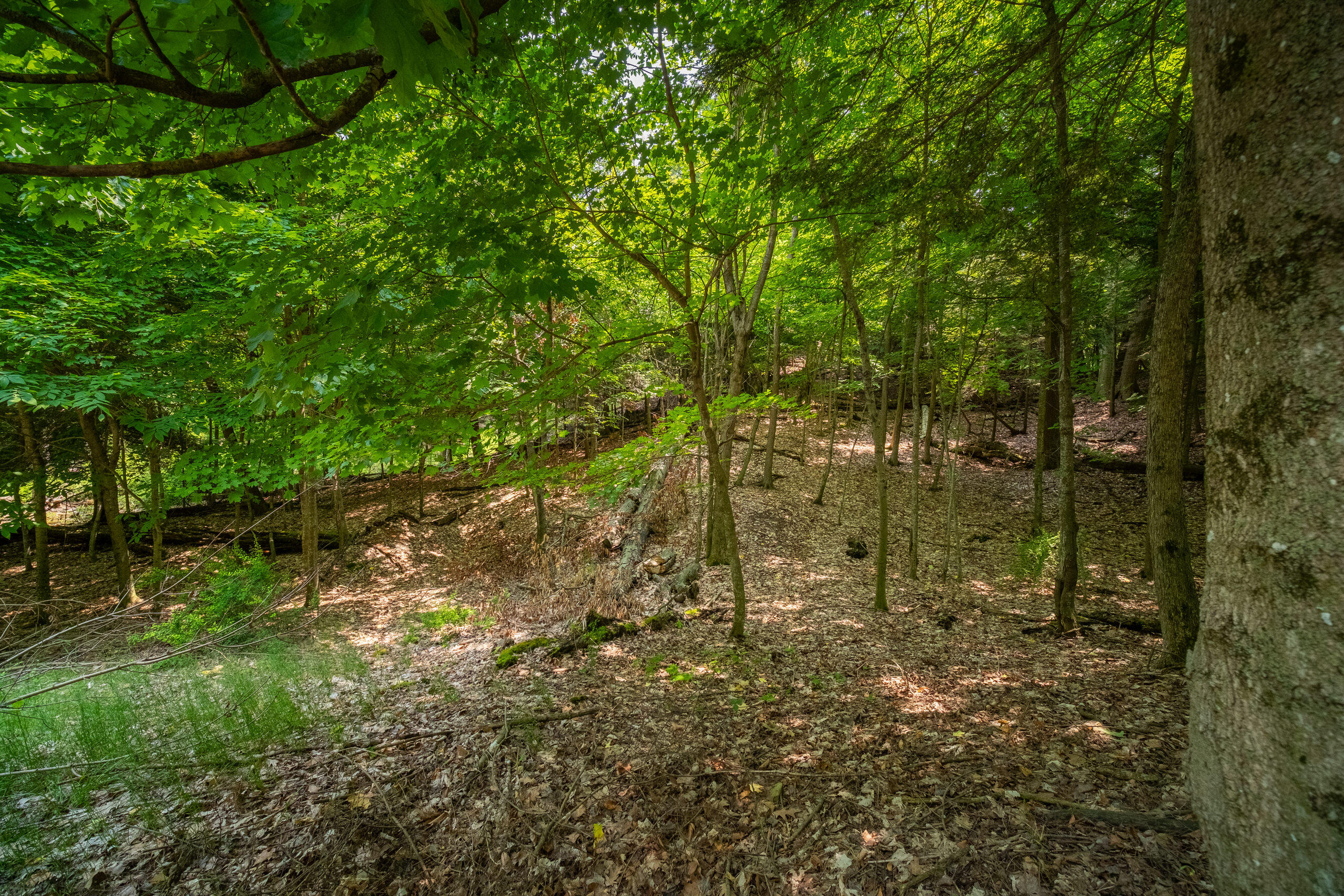 26 & 27 Beech Knolls Trail