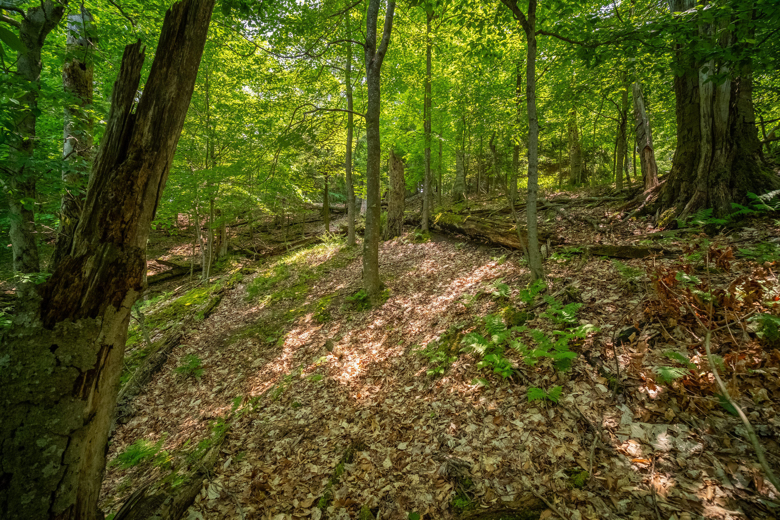 26 & 27 Beech Knolls Trail