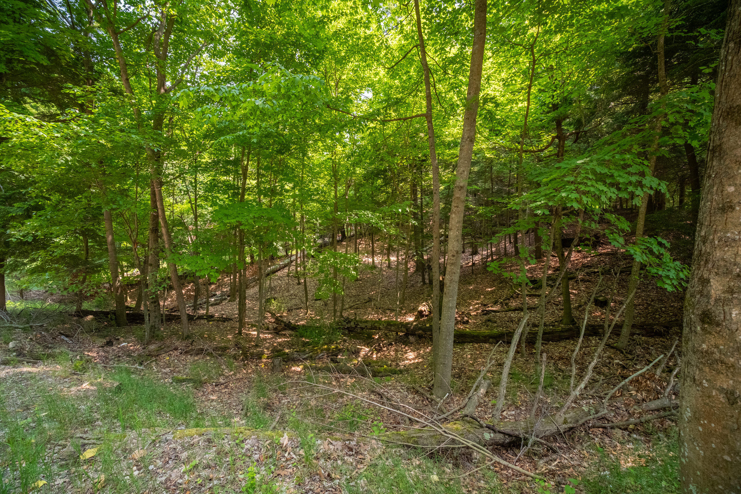 26 & 27 Beech Knolls Trail