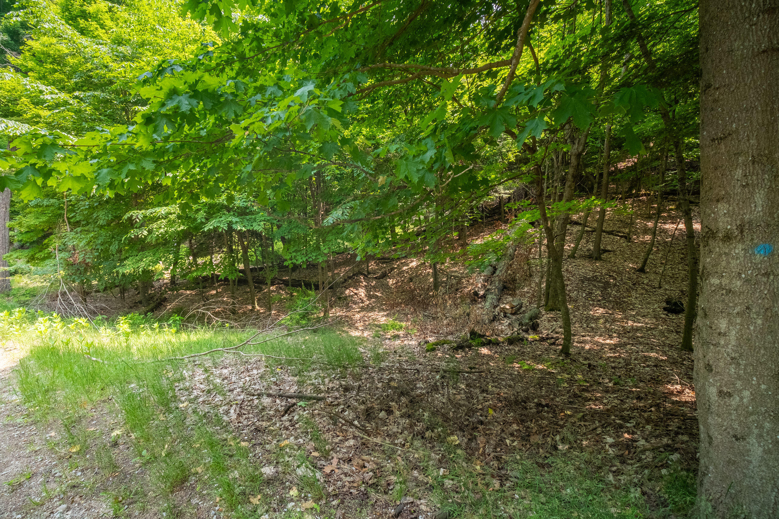 26 & 27 Beech Knolls Trail