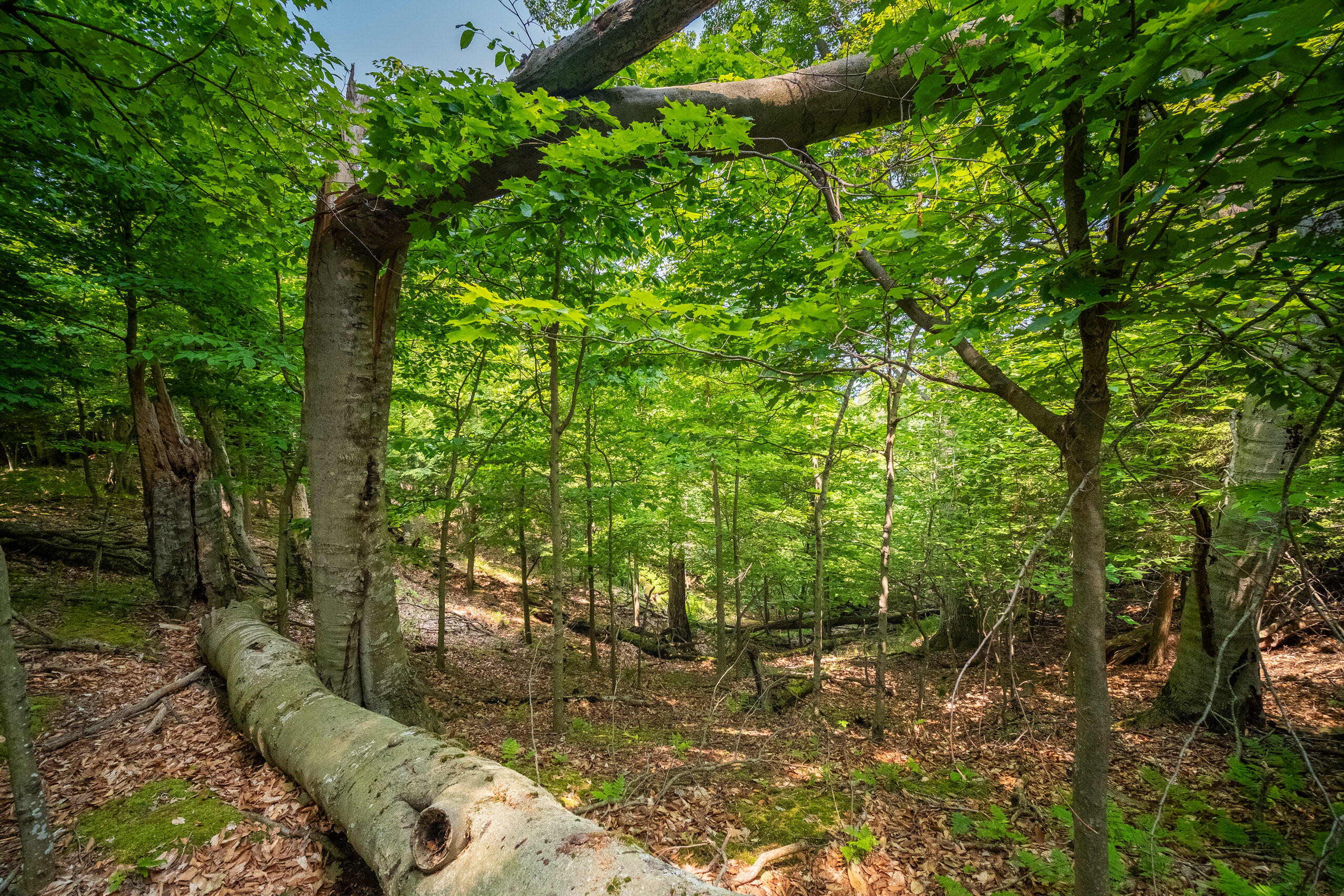 26 & 27 Beech Knolls Trail