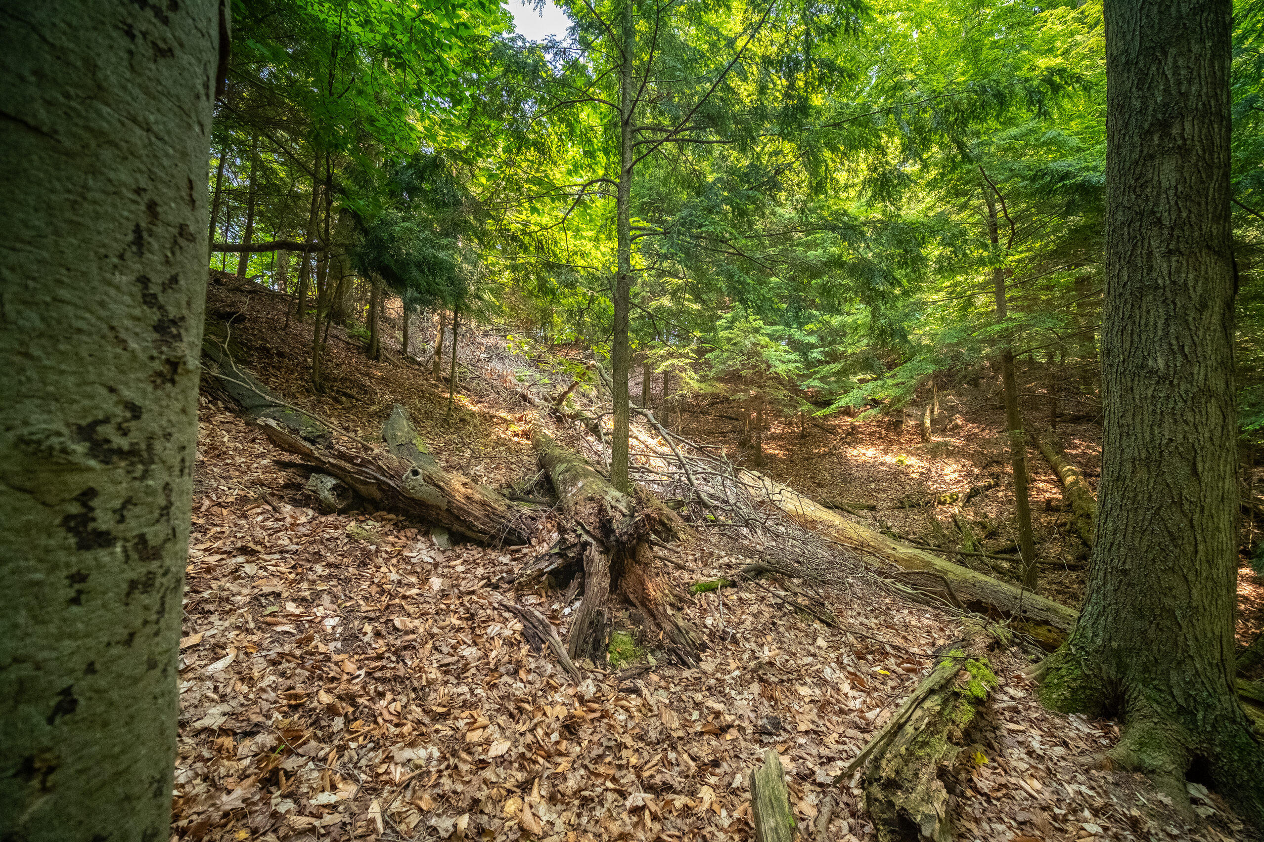 26 & 27 Beech Knolls Trail