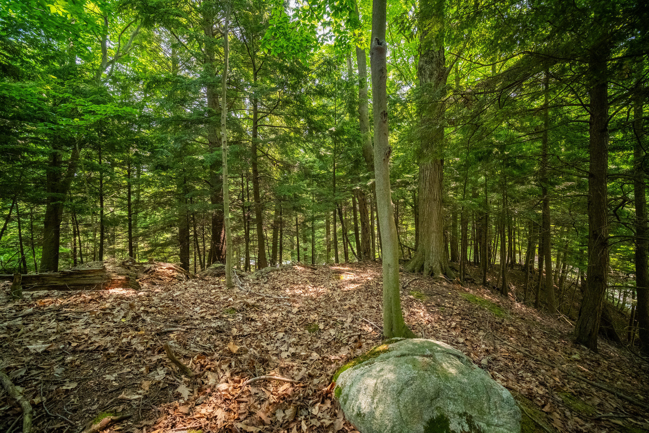 26 & 27 Beech Knolls Trail