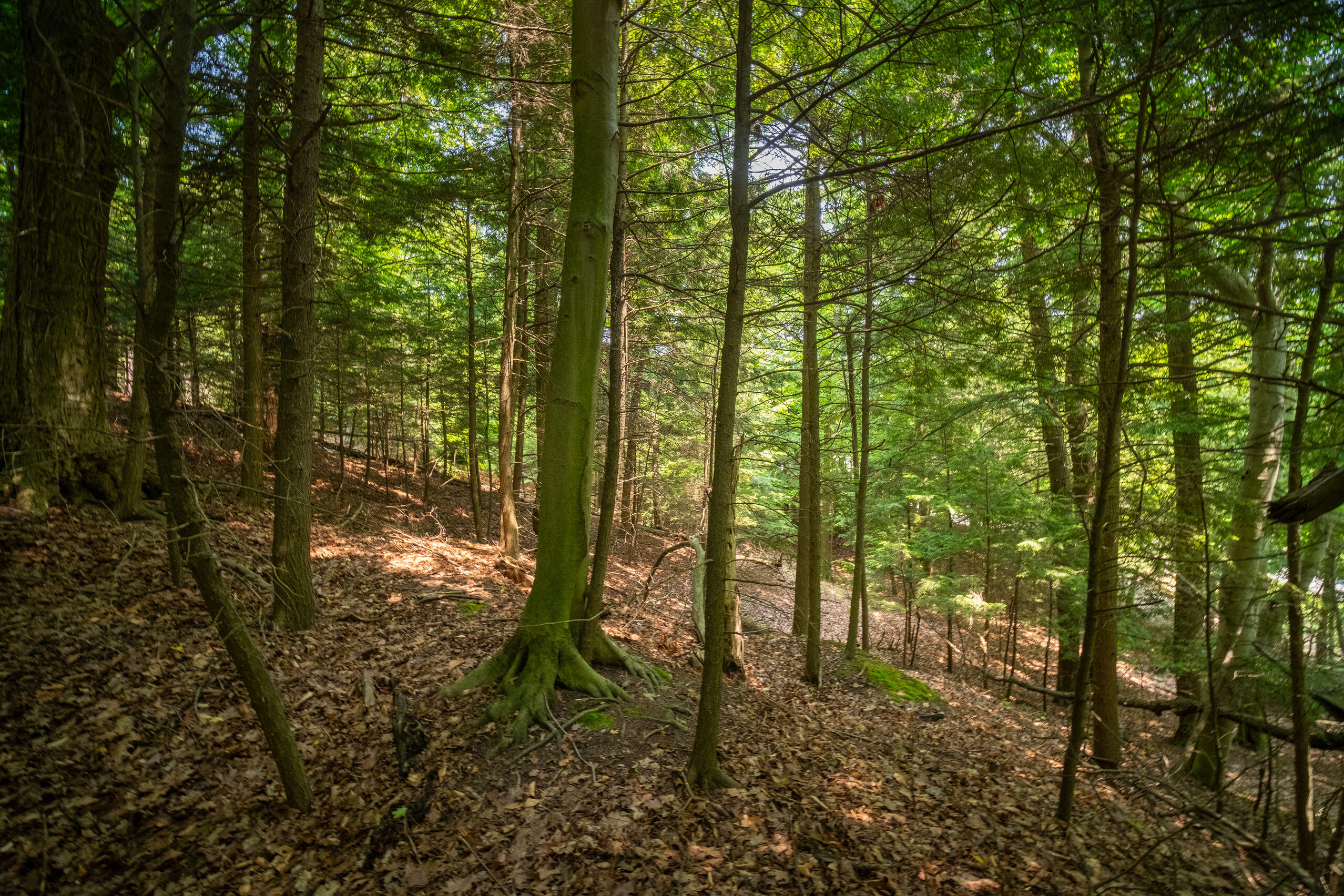 26 & 27 Beech Knolls Trail