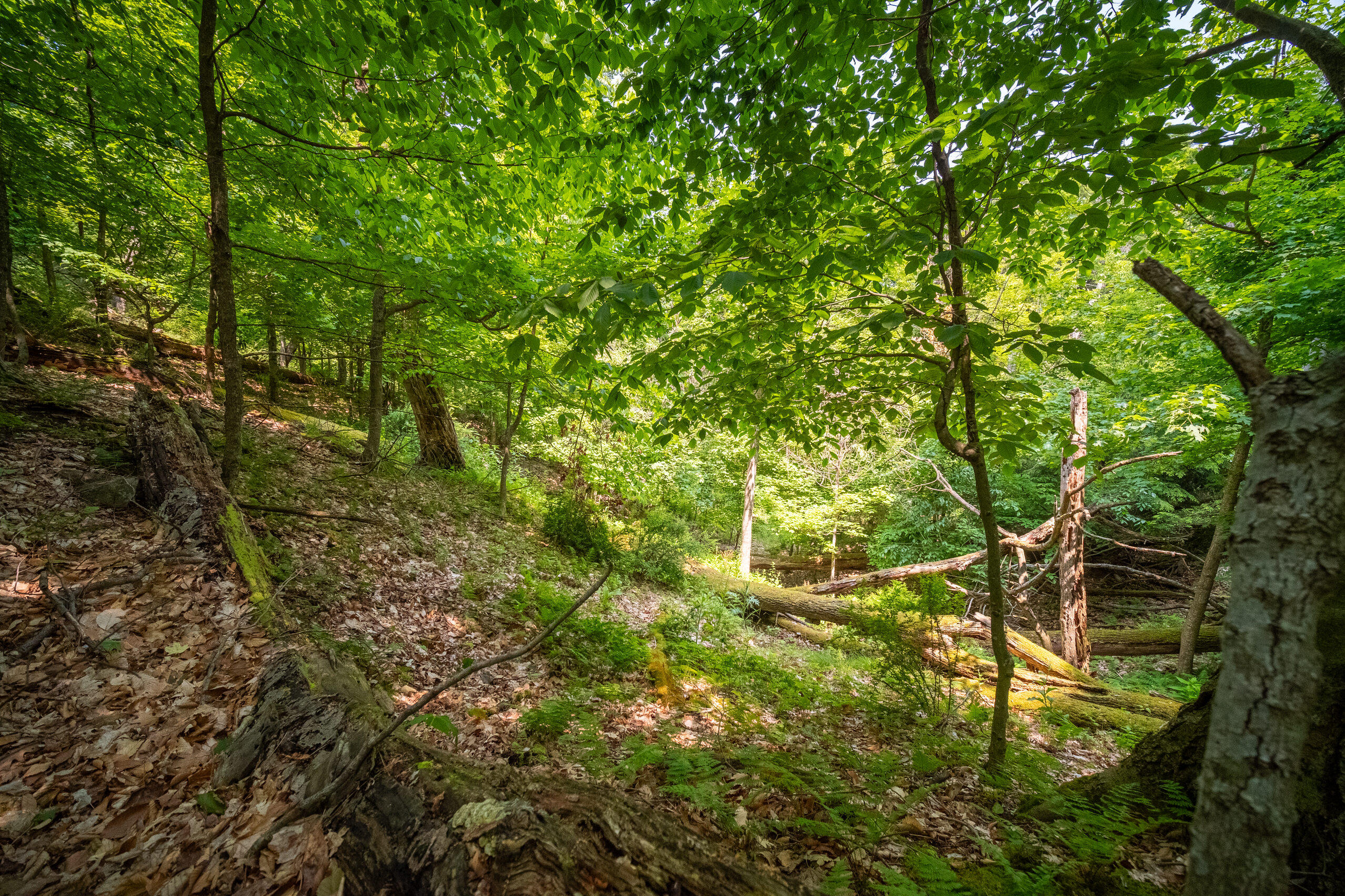 26 & 27 Beech Knolls Trail