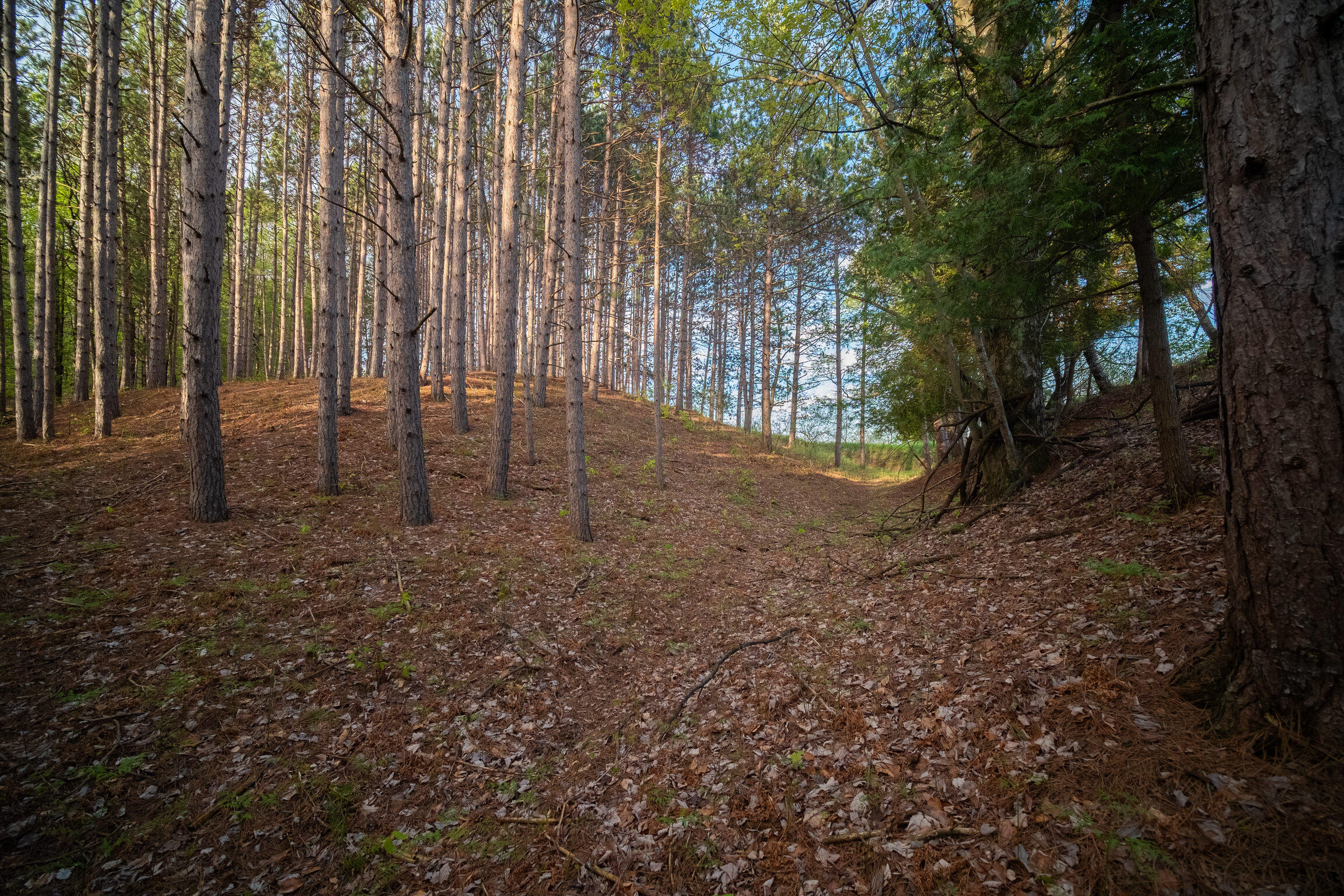 10 Acres Chief Road