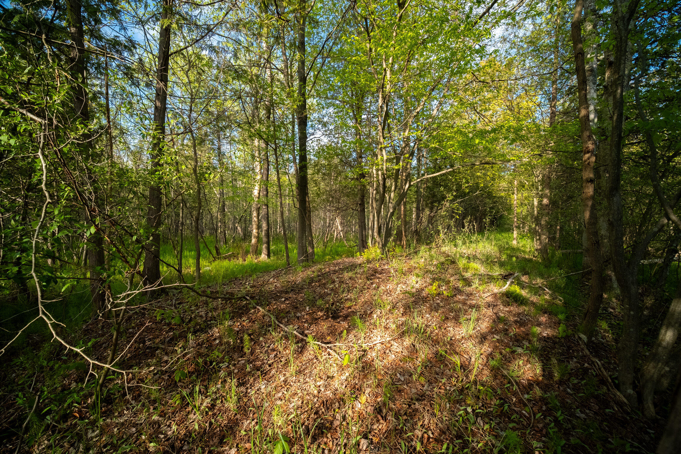 10 Acres Chief Road