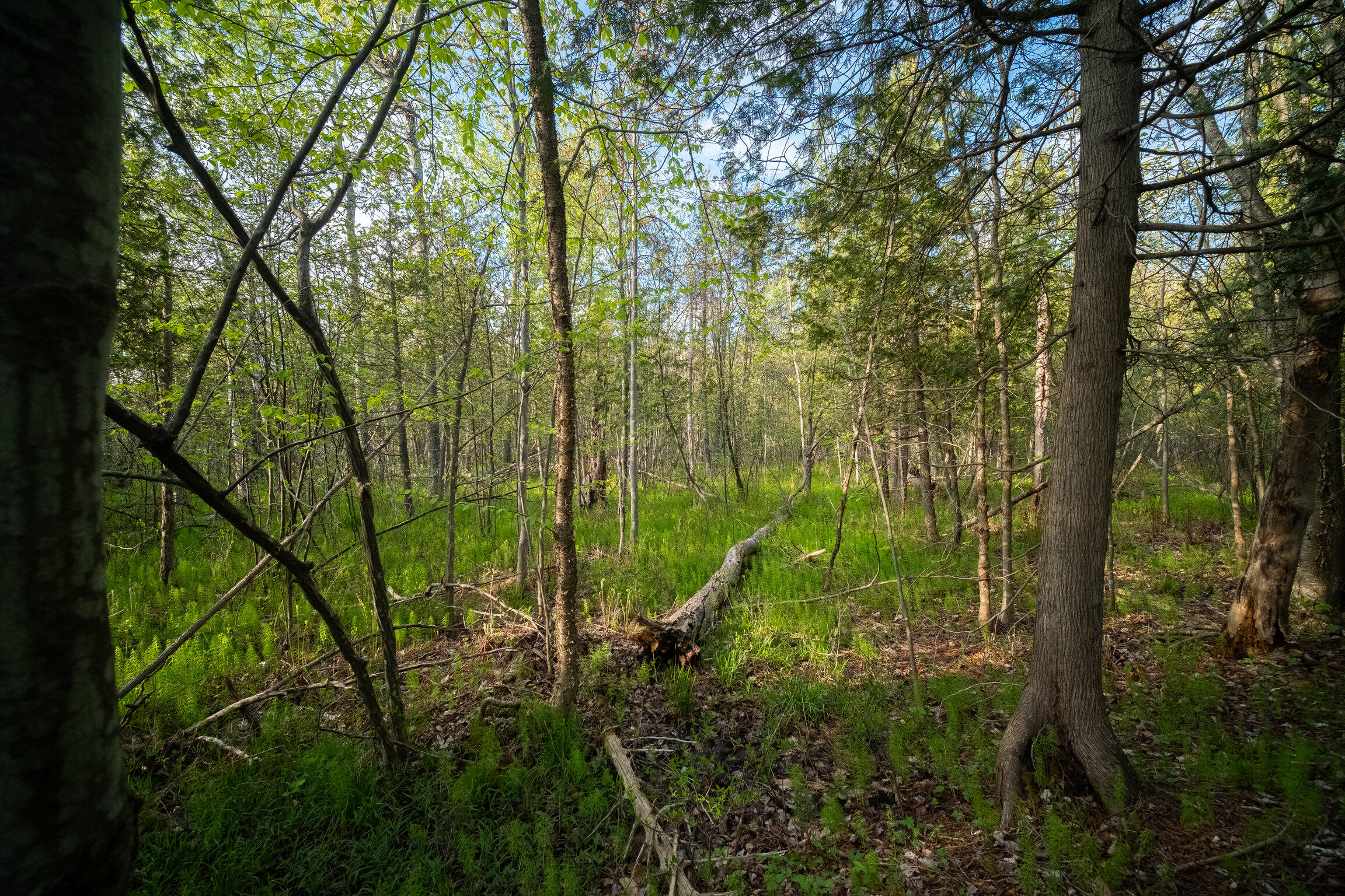 10 Acres Chief Road