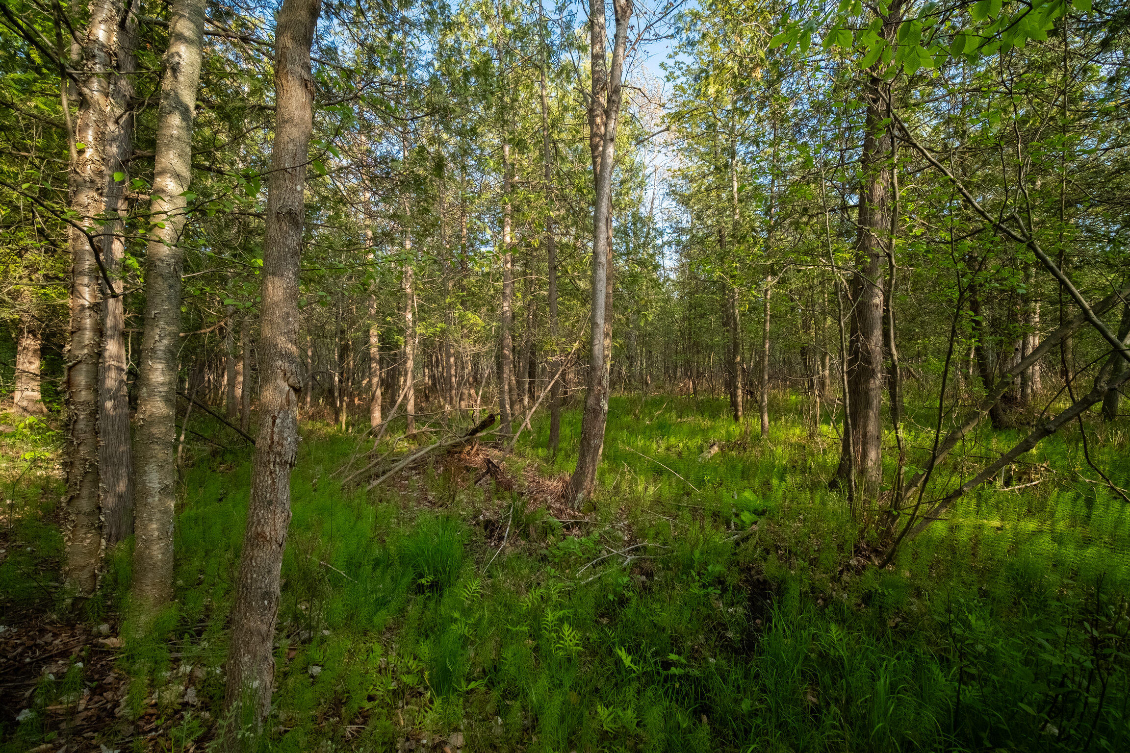 10 Acres Chief Road