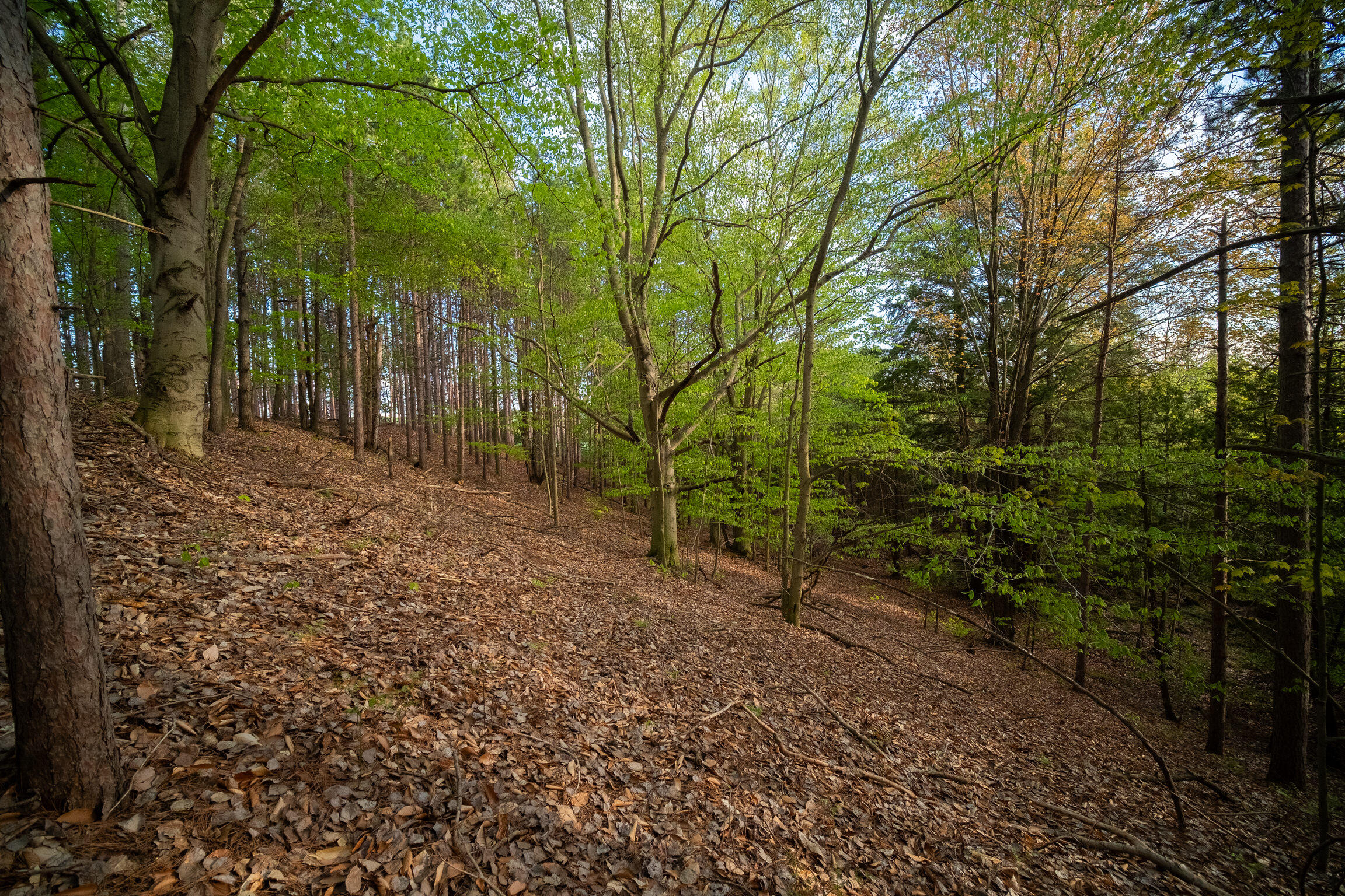 10 Acres Chief Road