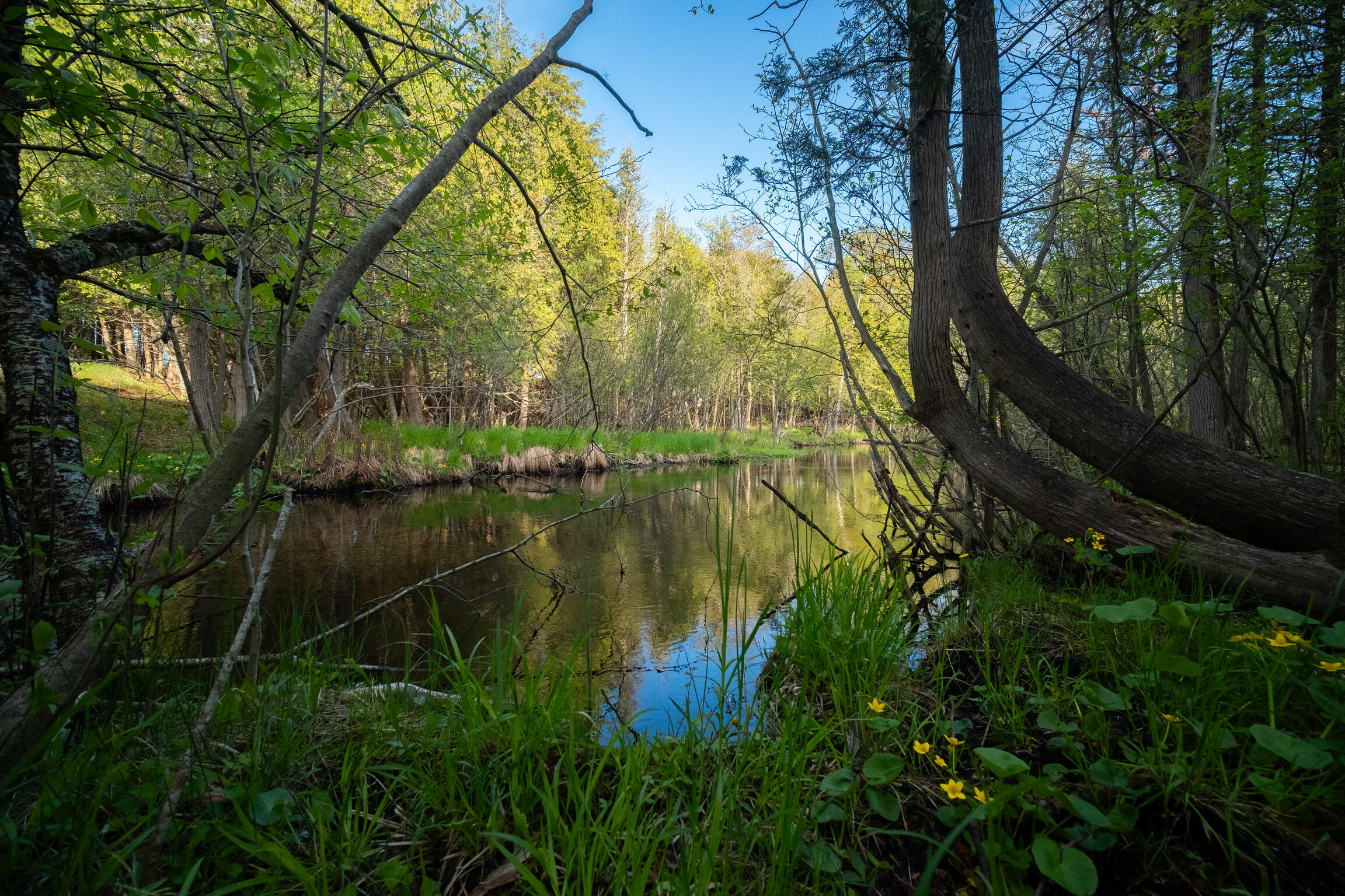 10 Acres Chief Road