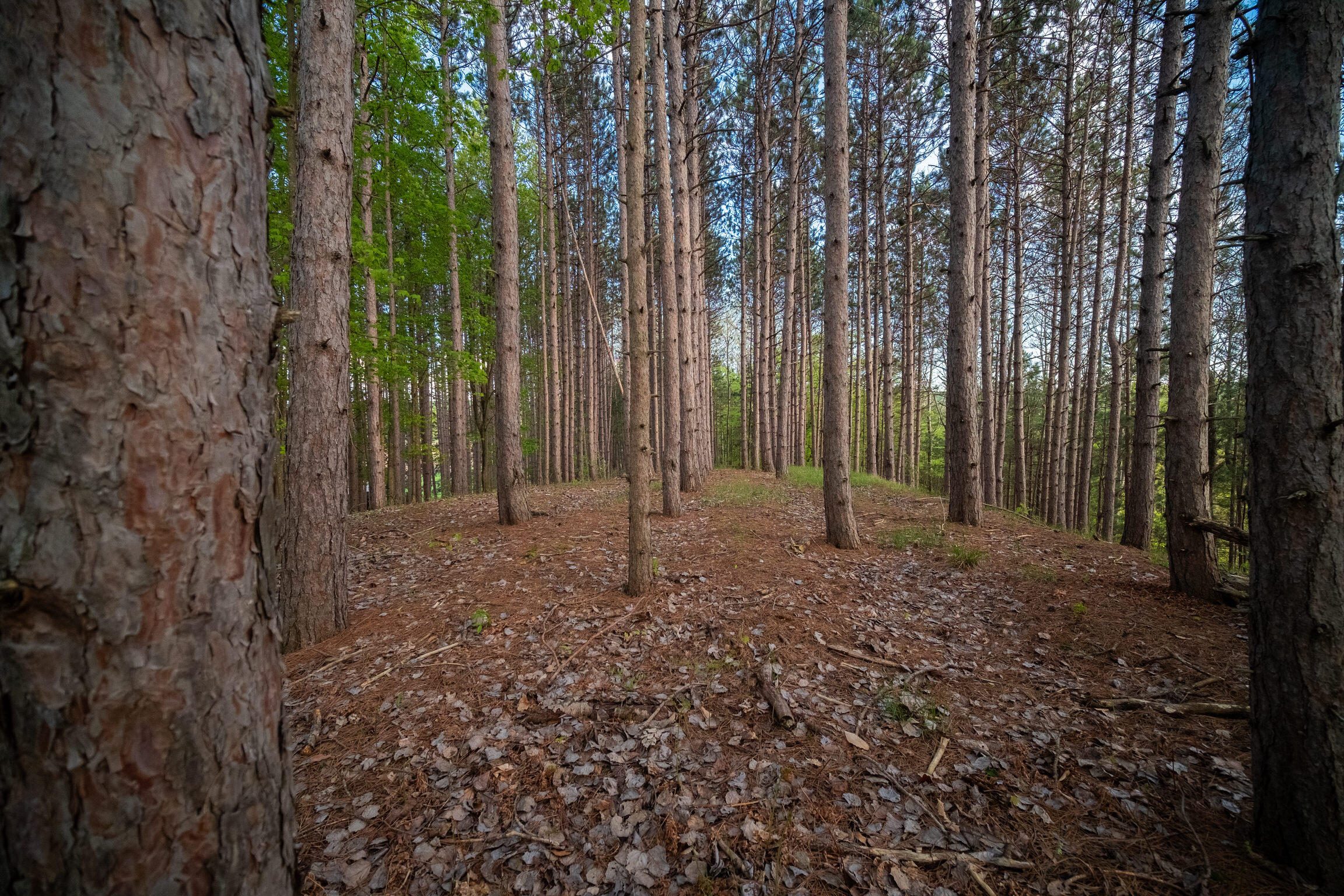 10 Acres Chief Road