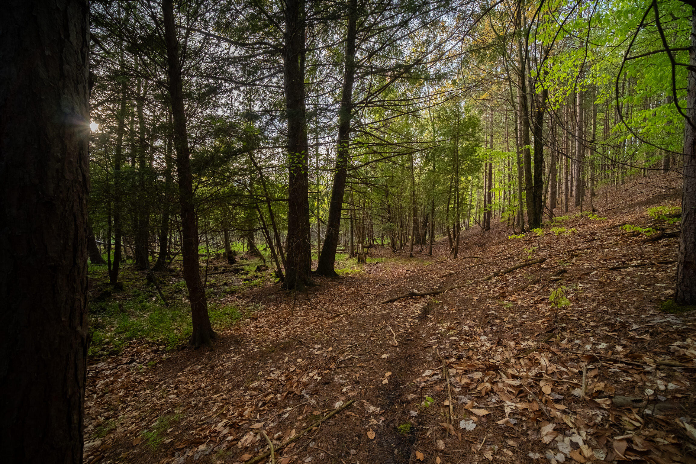10 Acres Chief Road