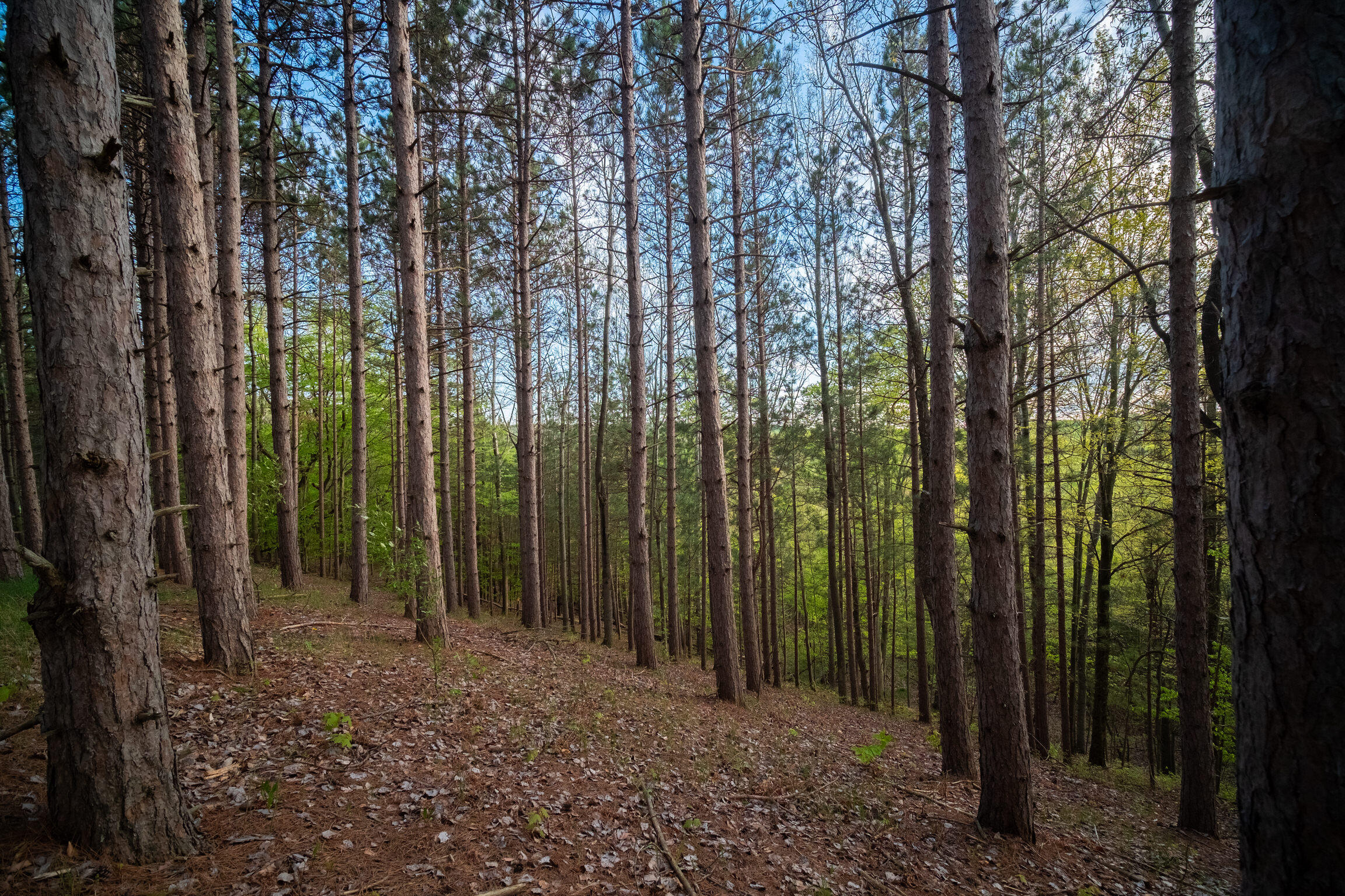 10 Acres Chief Road