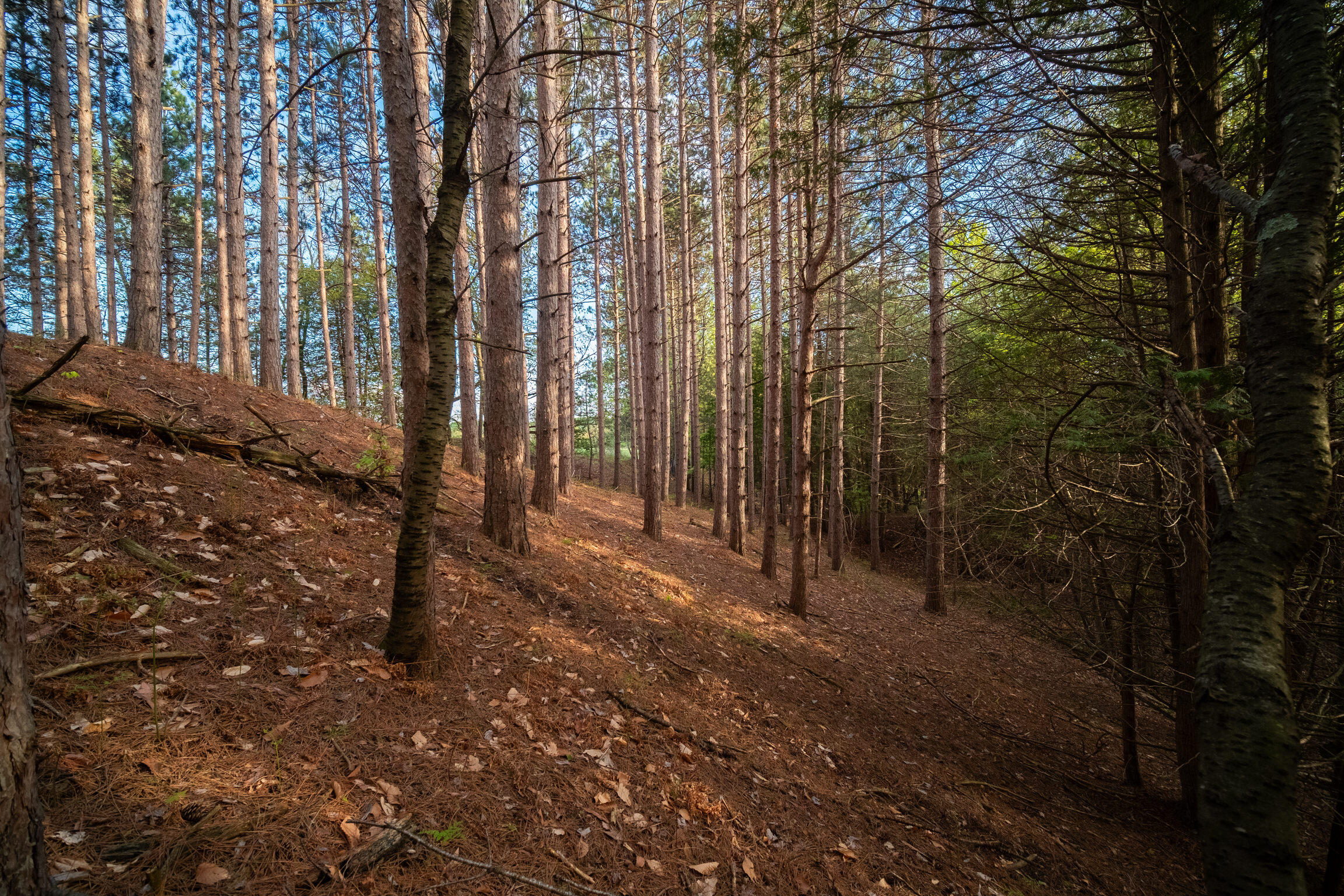 10 Acres Chief Road
