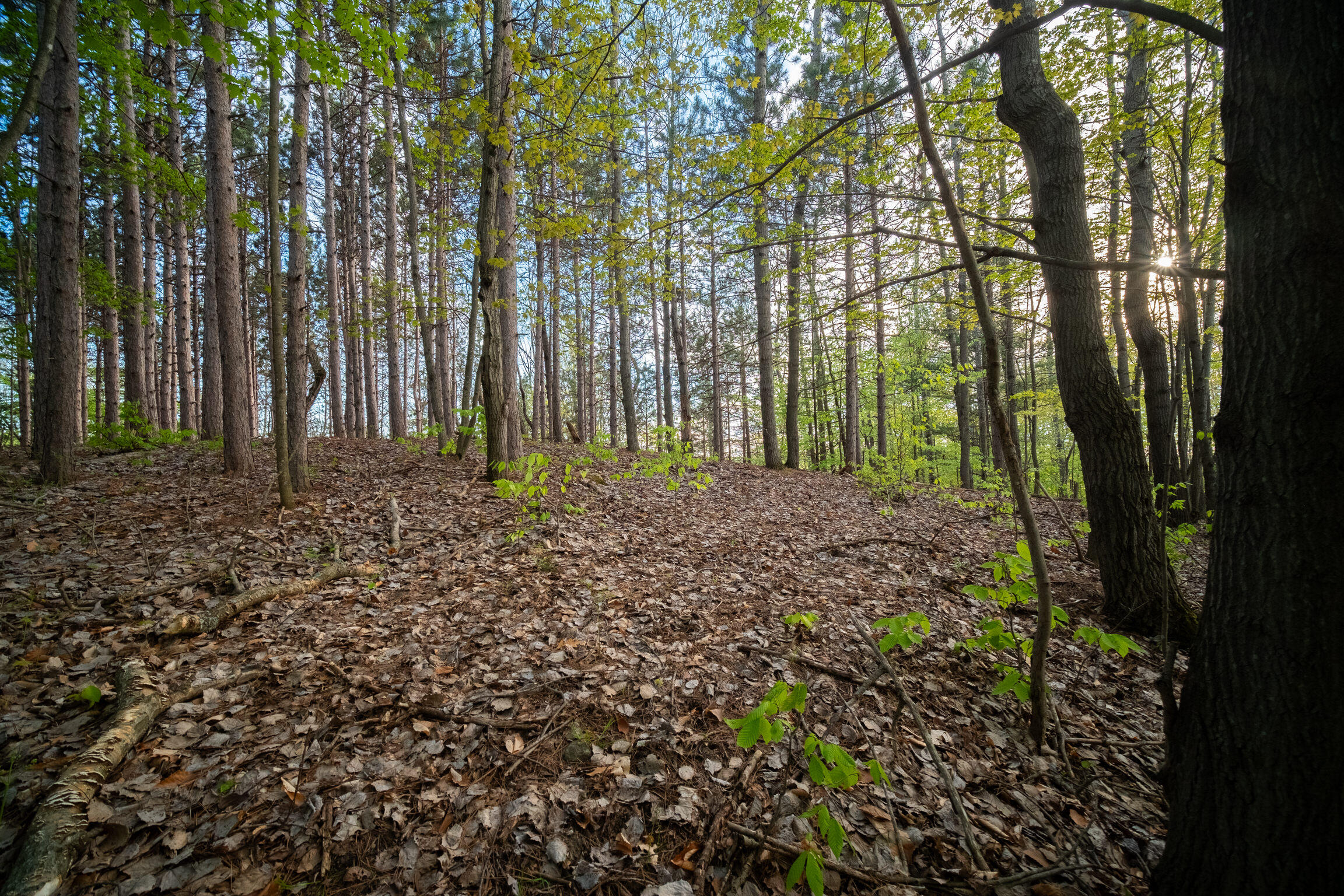 10 Acres Chief Road