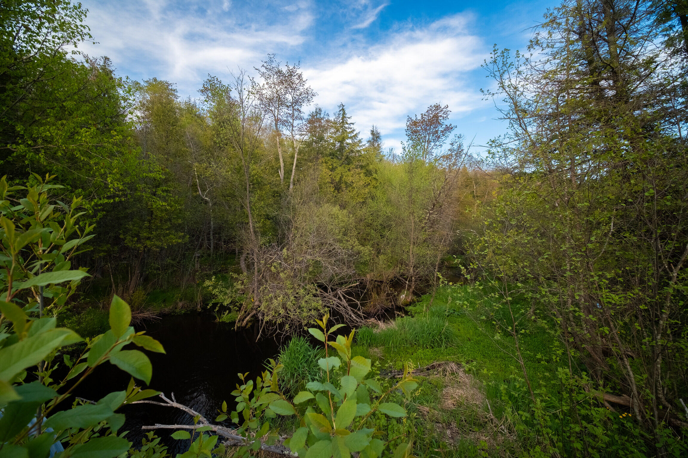 10 Acres Chief Road