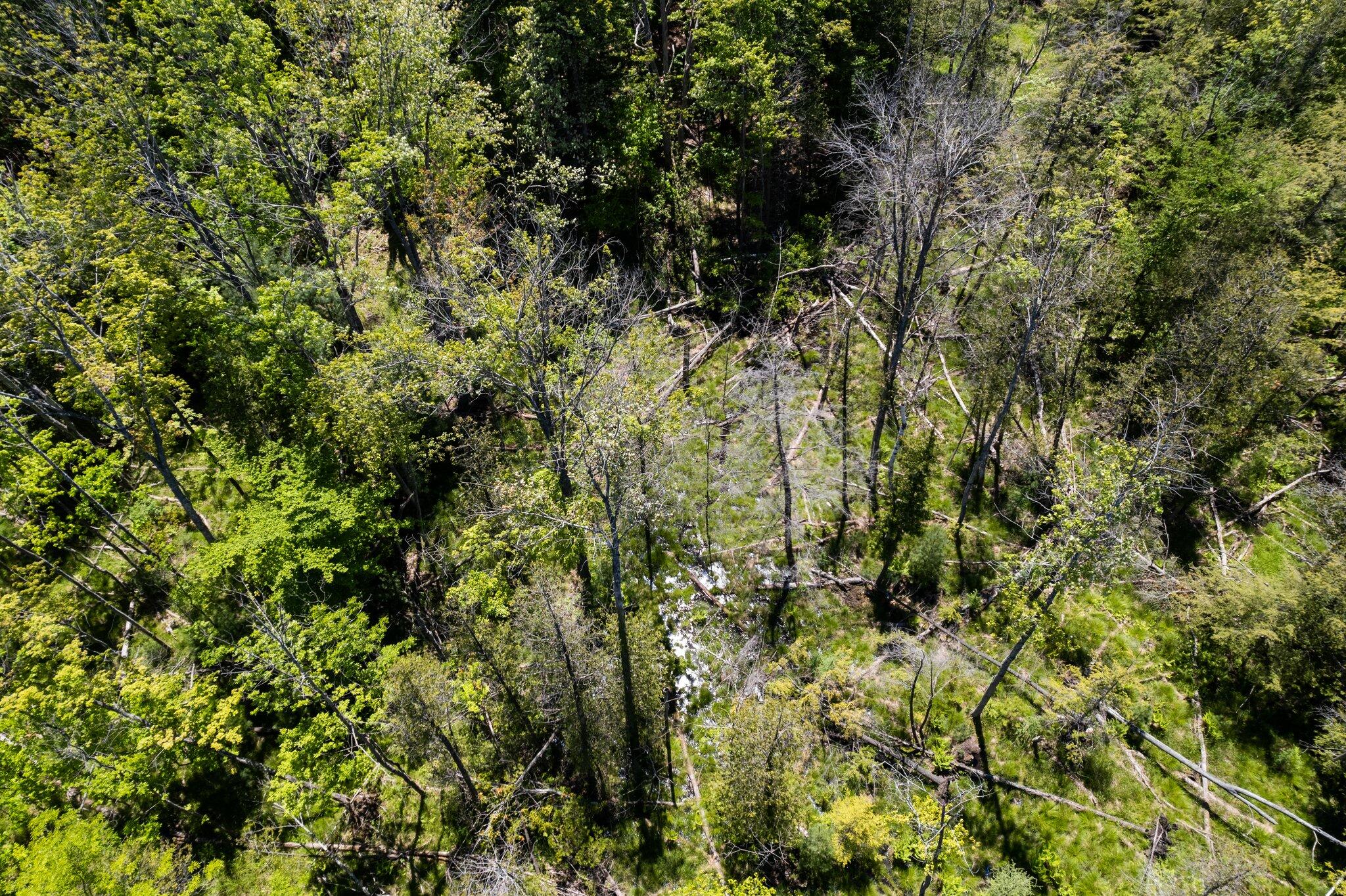 2451 Aikens Road