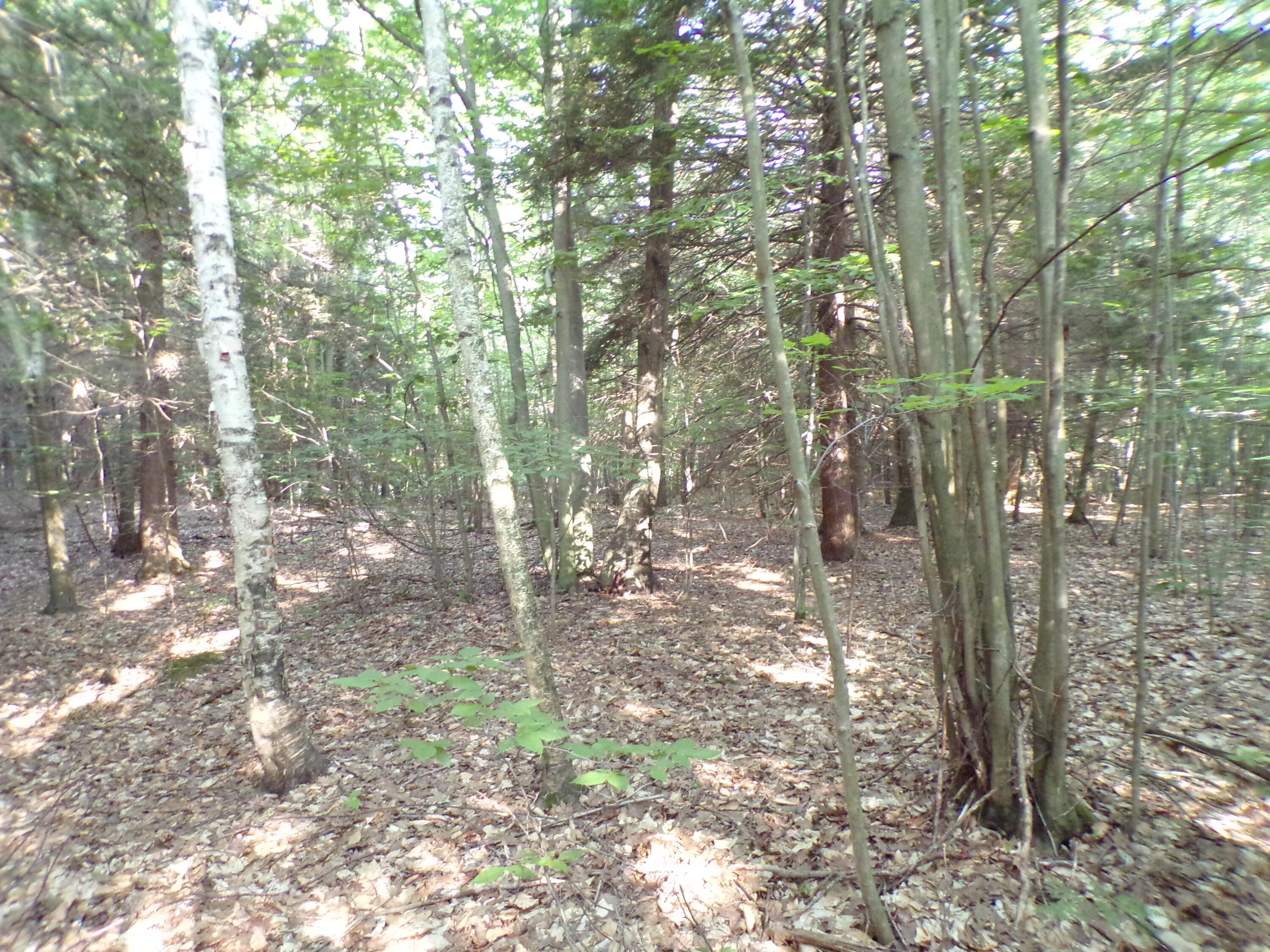 66 Opal Ridge Drive