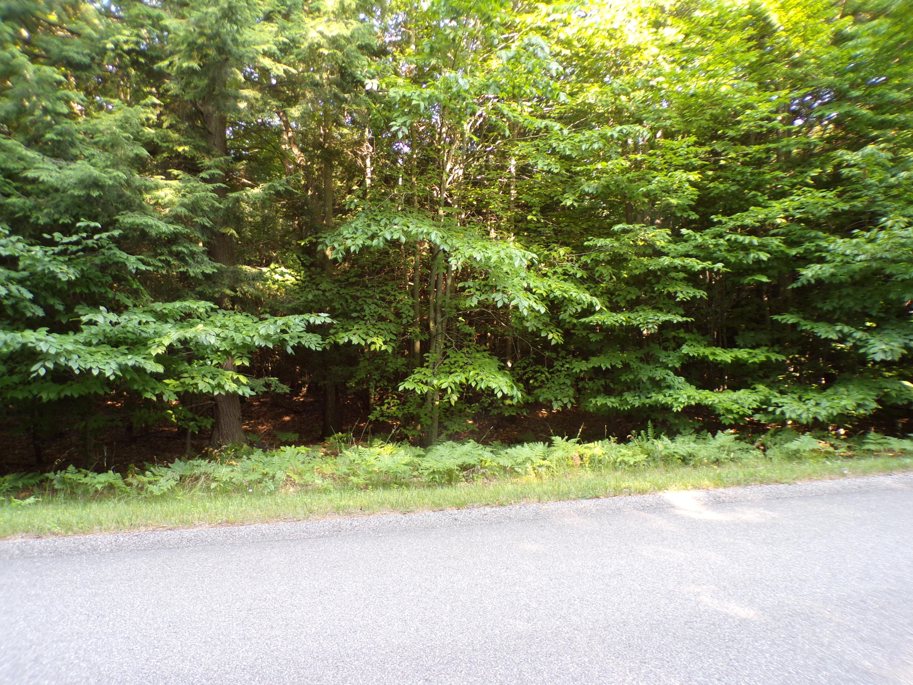 66 Opal Ridge Drive