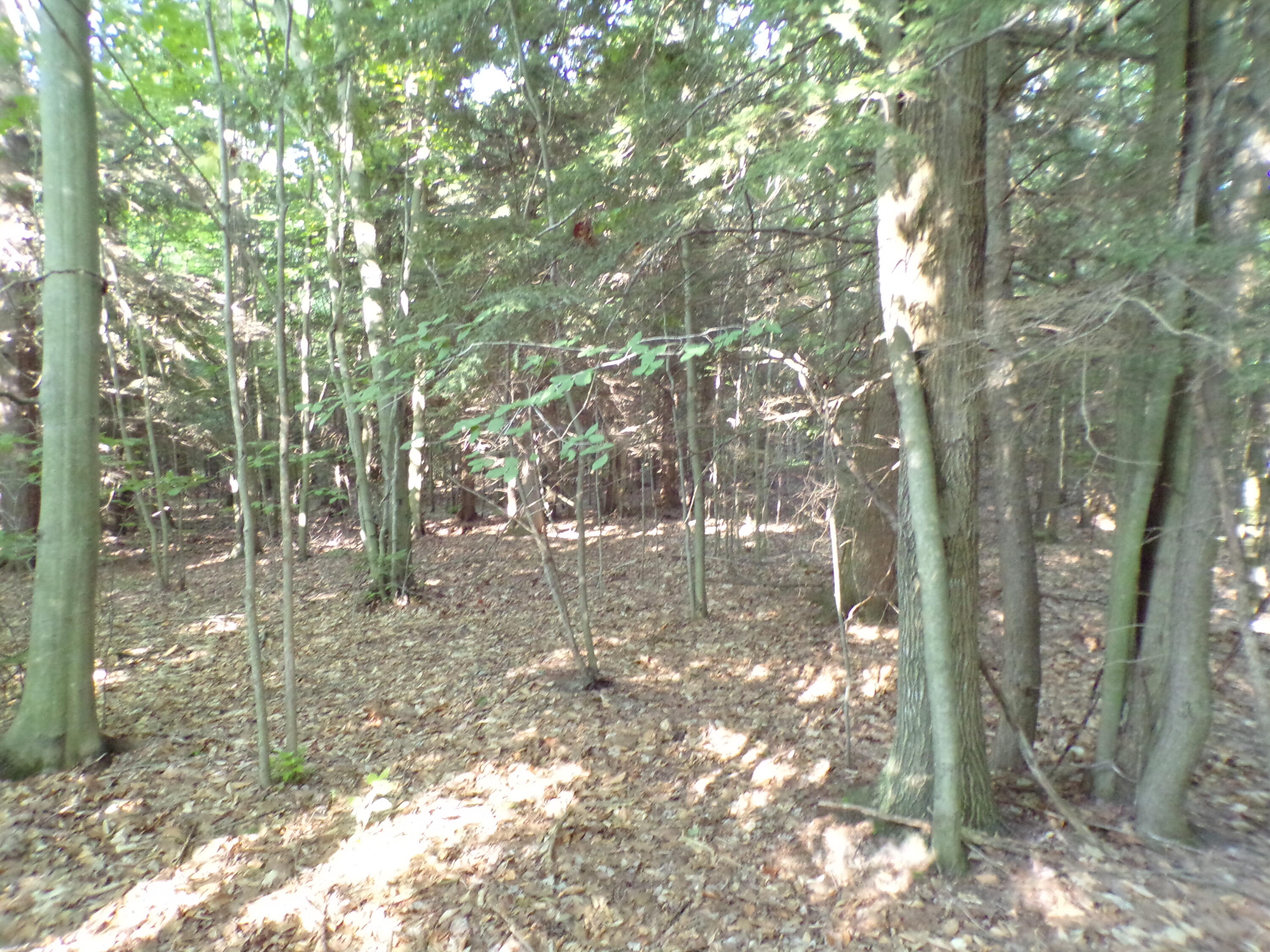 66 Opal Ridge Drive