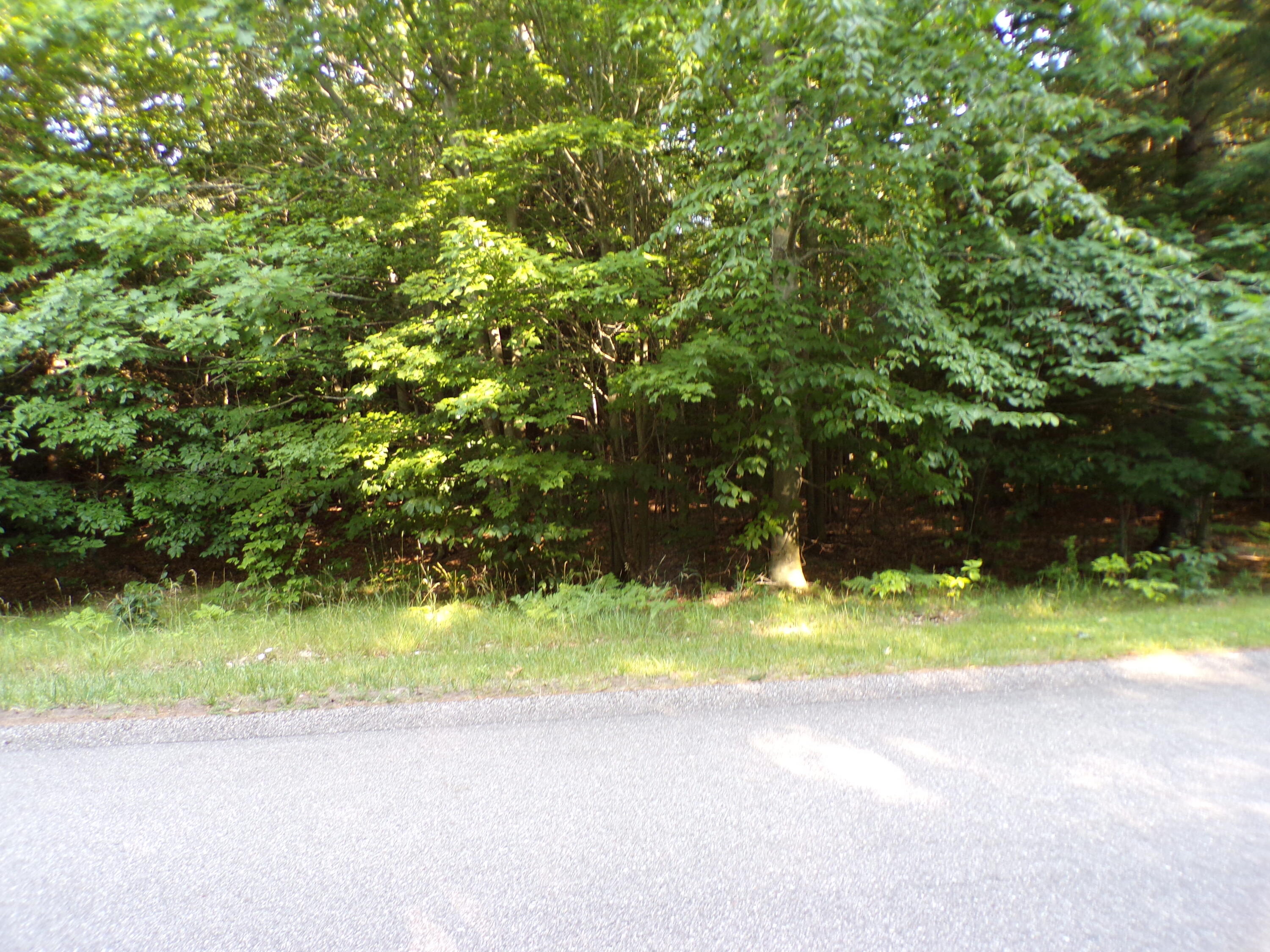 66 Opal Ridge Drive