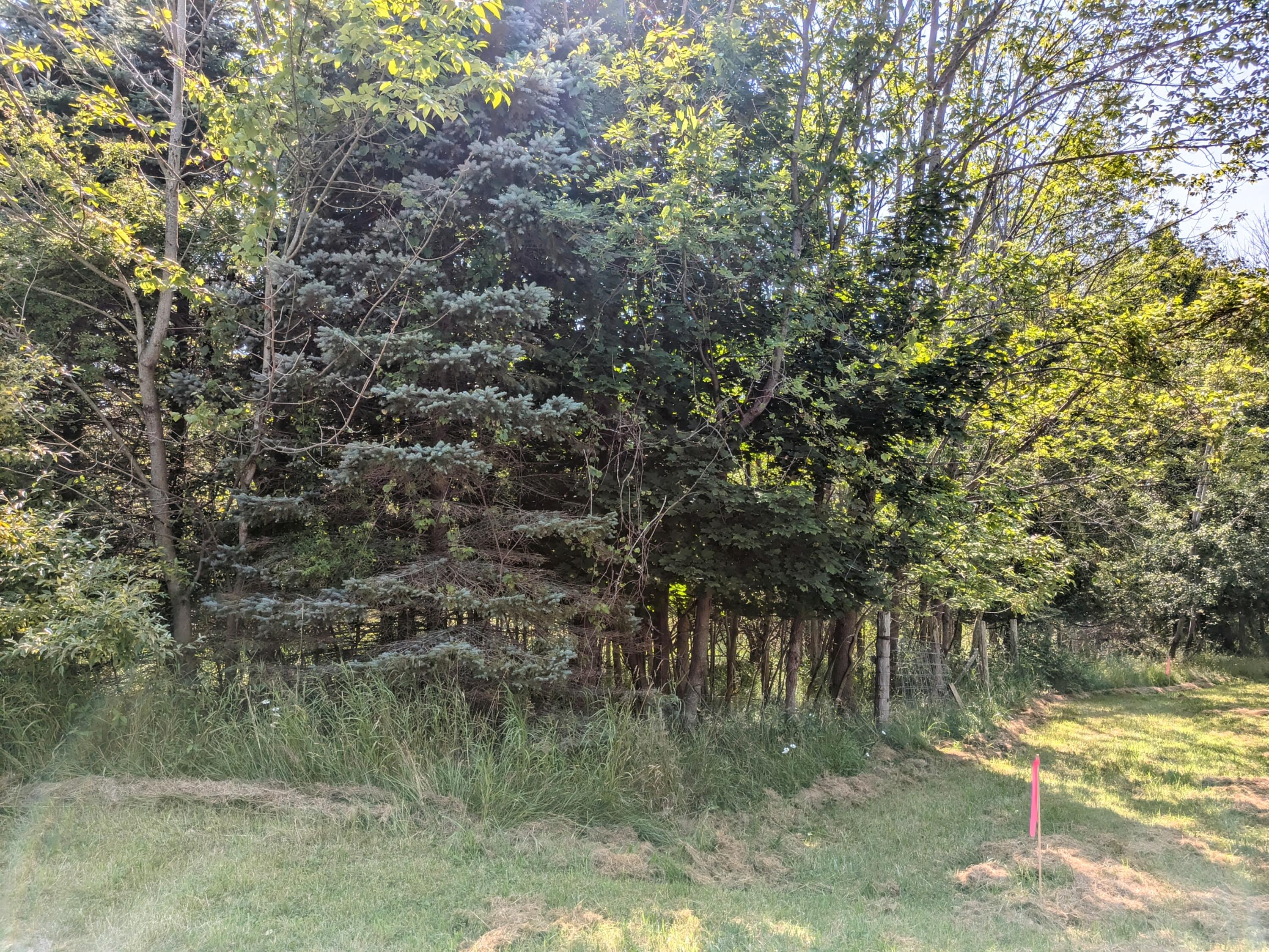 Lakeshore/Snape Road