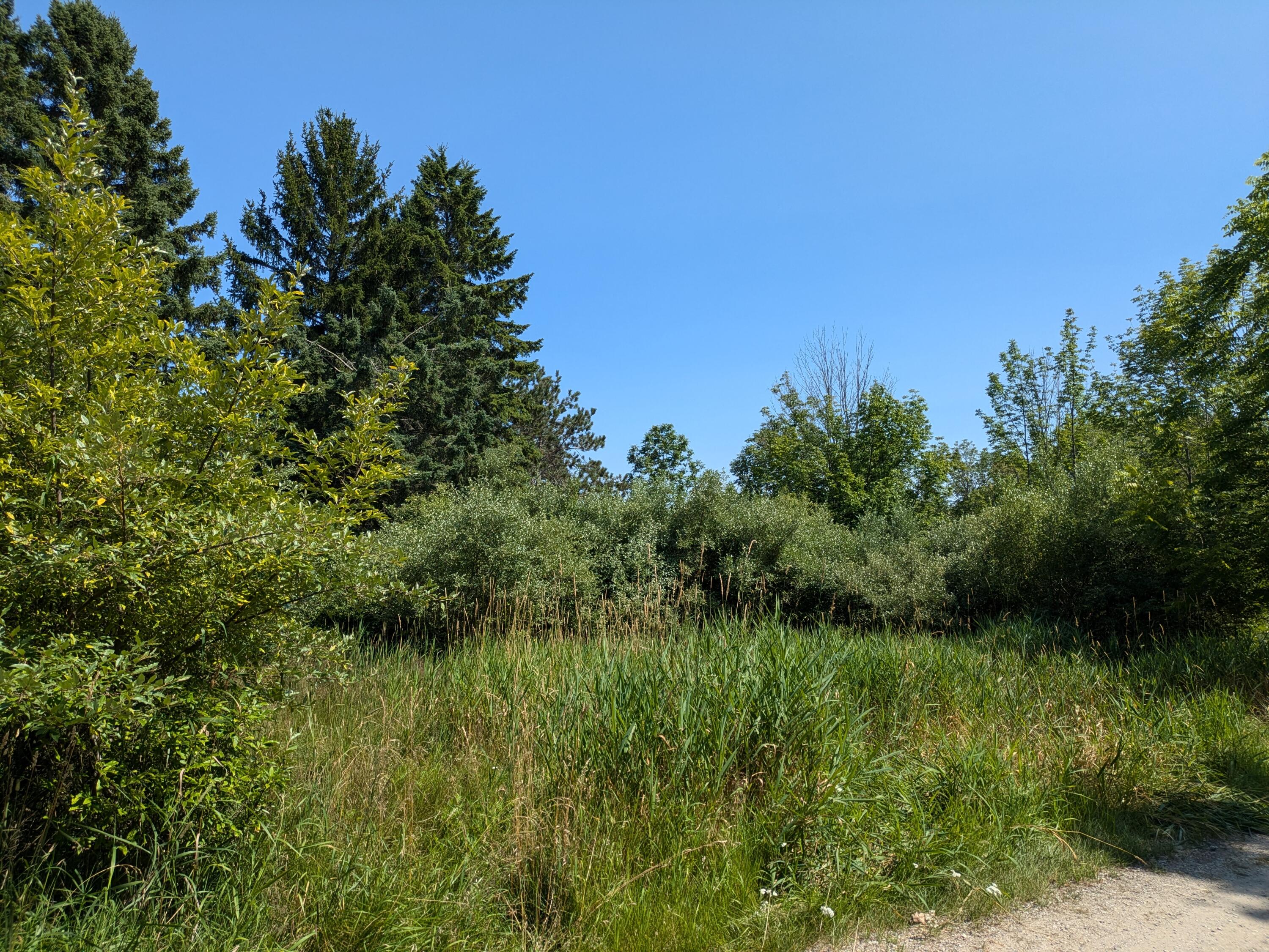 Lakeshore/Snape Road