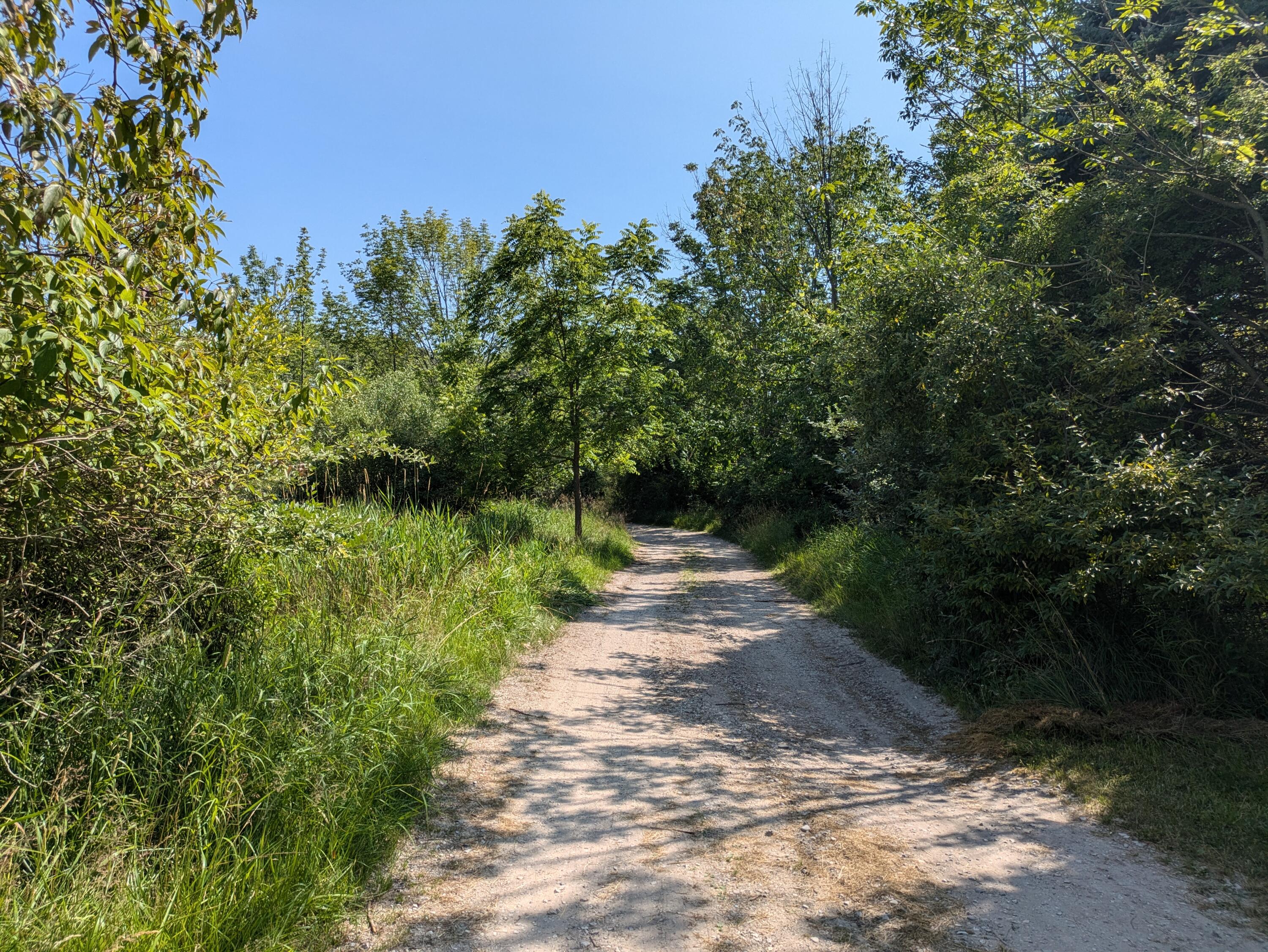 Lakeshore/Snape Road
