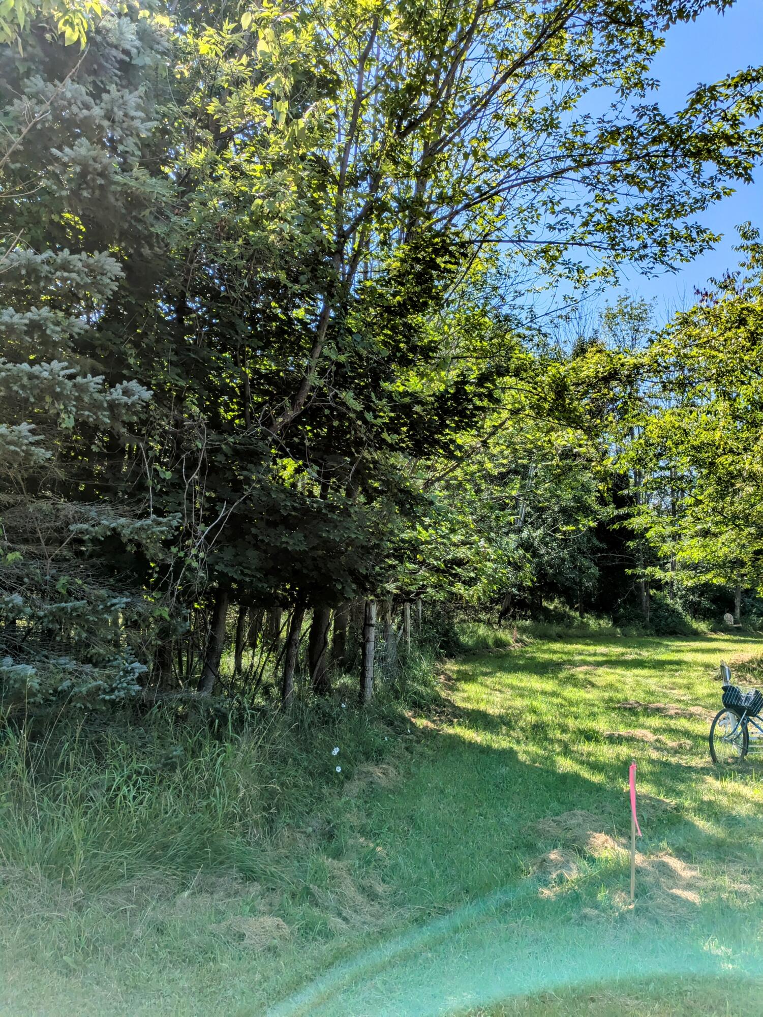 Lakeshore/Snape Road